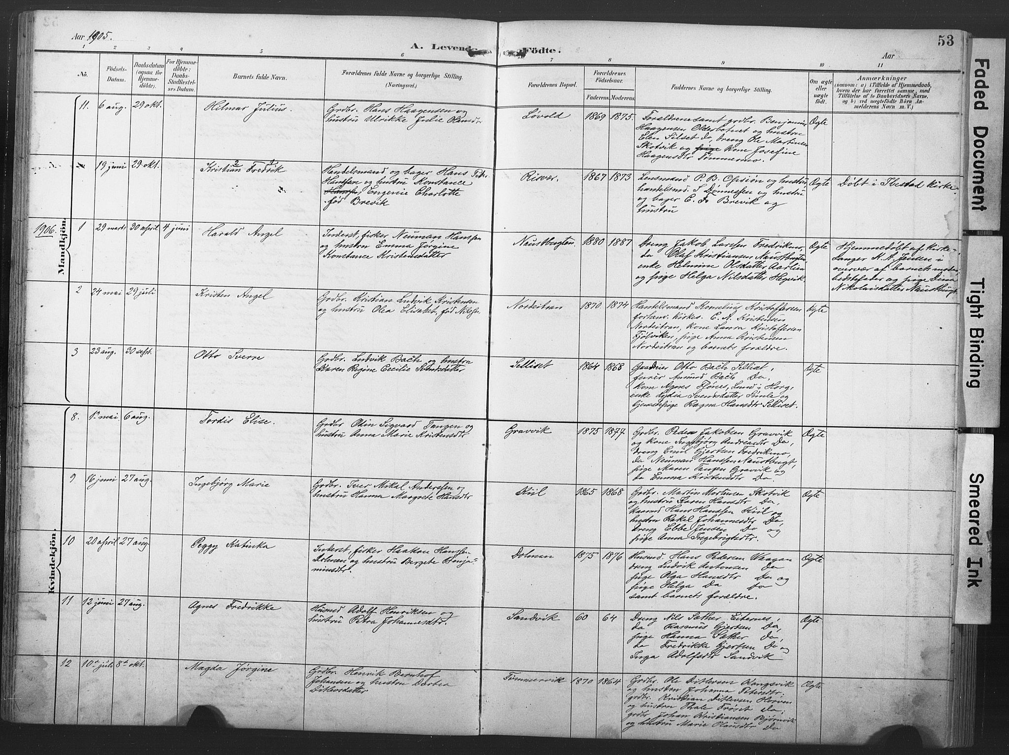 Ministerialprotokoller, klokkerbøker og fødselsregistre - Nord-Trøndelag, SAT/A-1458/789/L0706: Parish register (copy) no. 789C01, 1888-1931, p. 53