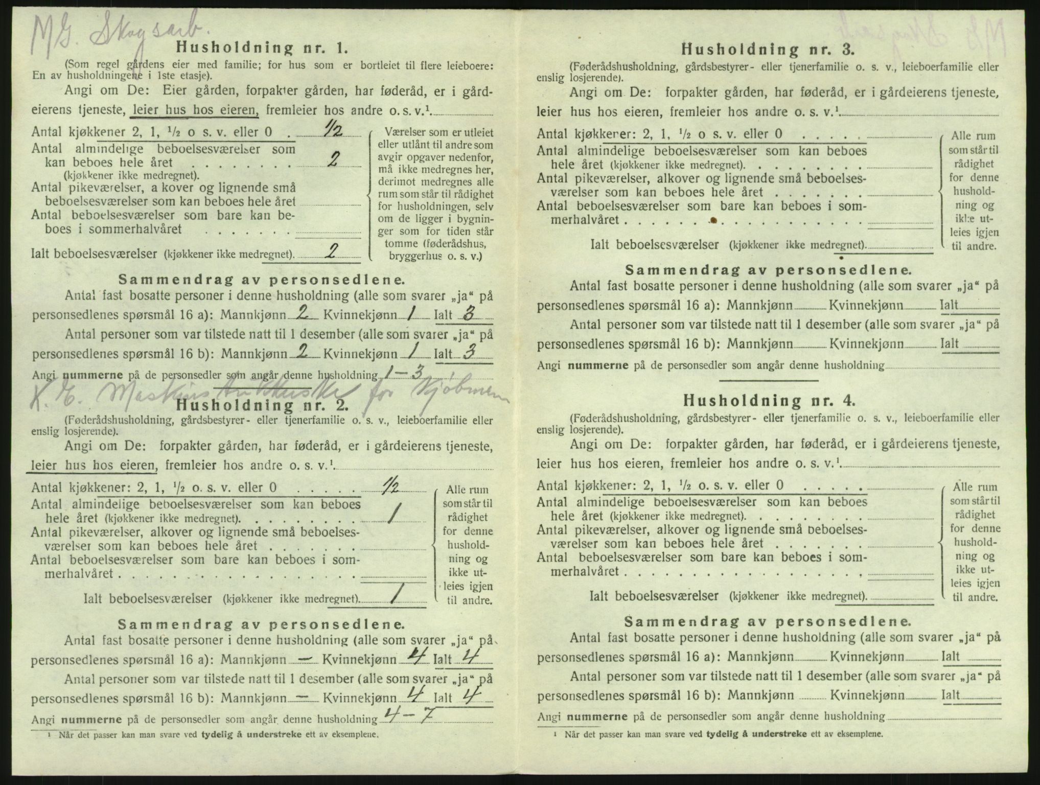 SAKO, 1920 census for Brunlanes, 1920, p. 1766