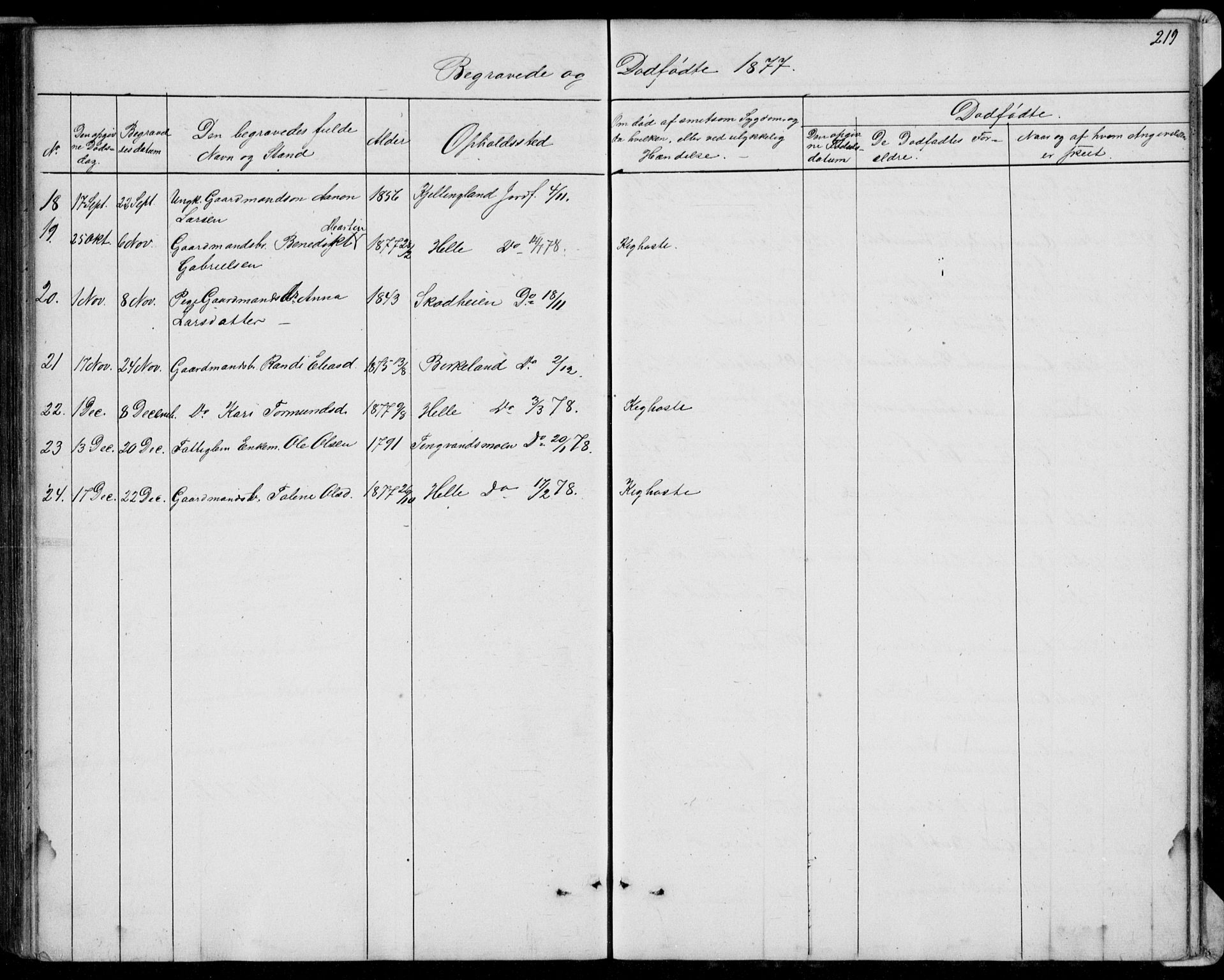 Hægebostad sokneprestkontor, AV/SAK-1111-0024/F/Fb/Fba/L0002: Parish register (copy) no. B 2, 1851-1882, p. 219