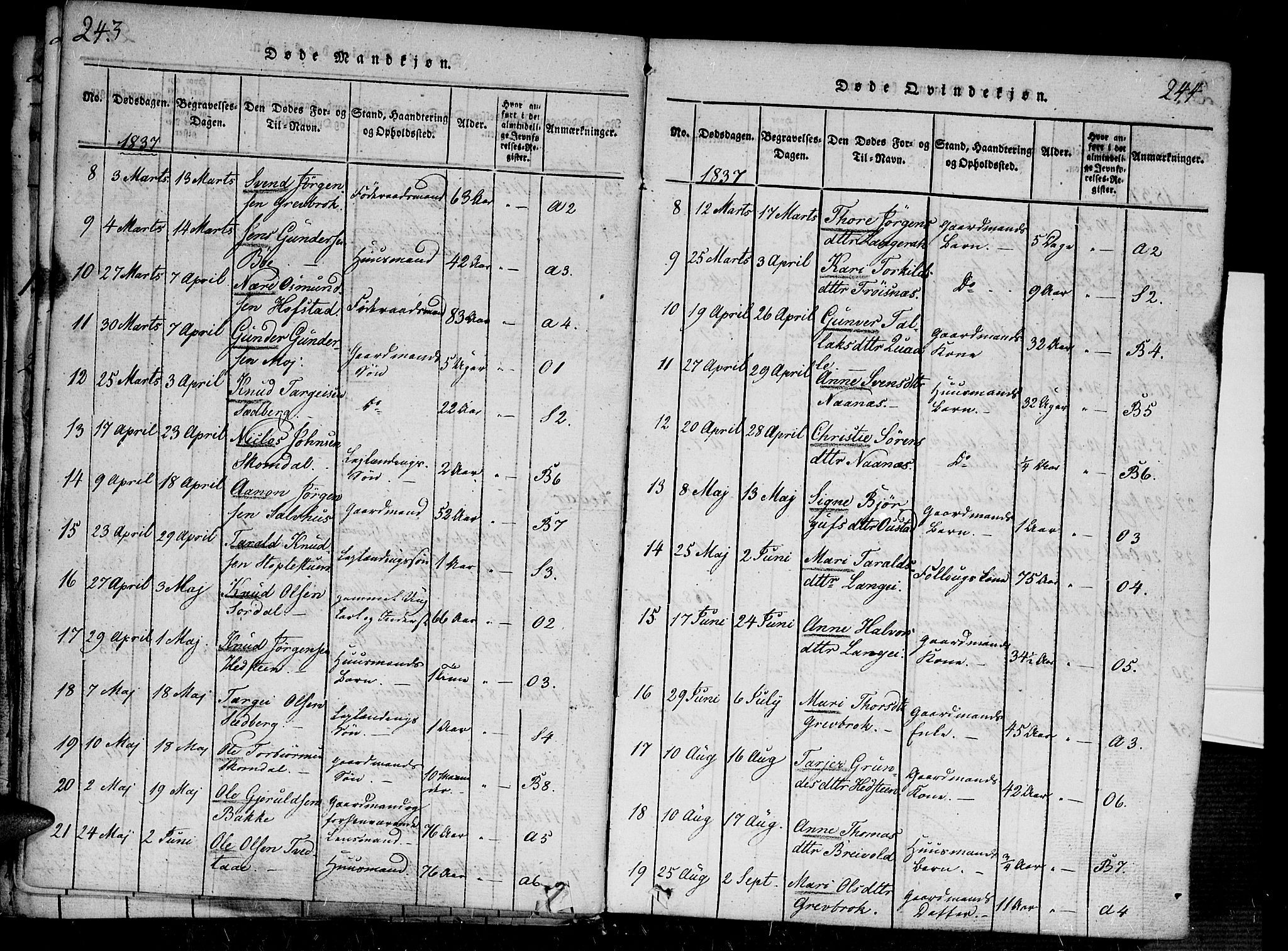 Bygland sokneprestkontor, AV/SAK-1111-0006/F/Fa/Fab/L0003: Parish register (official) no. A 3, 1816-1841, p. 243-244