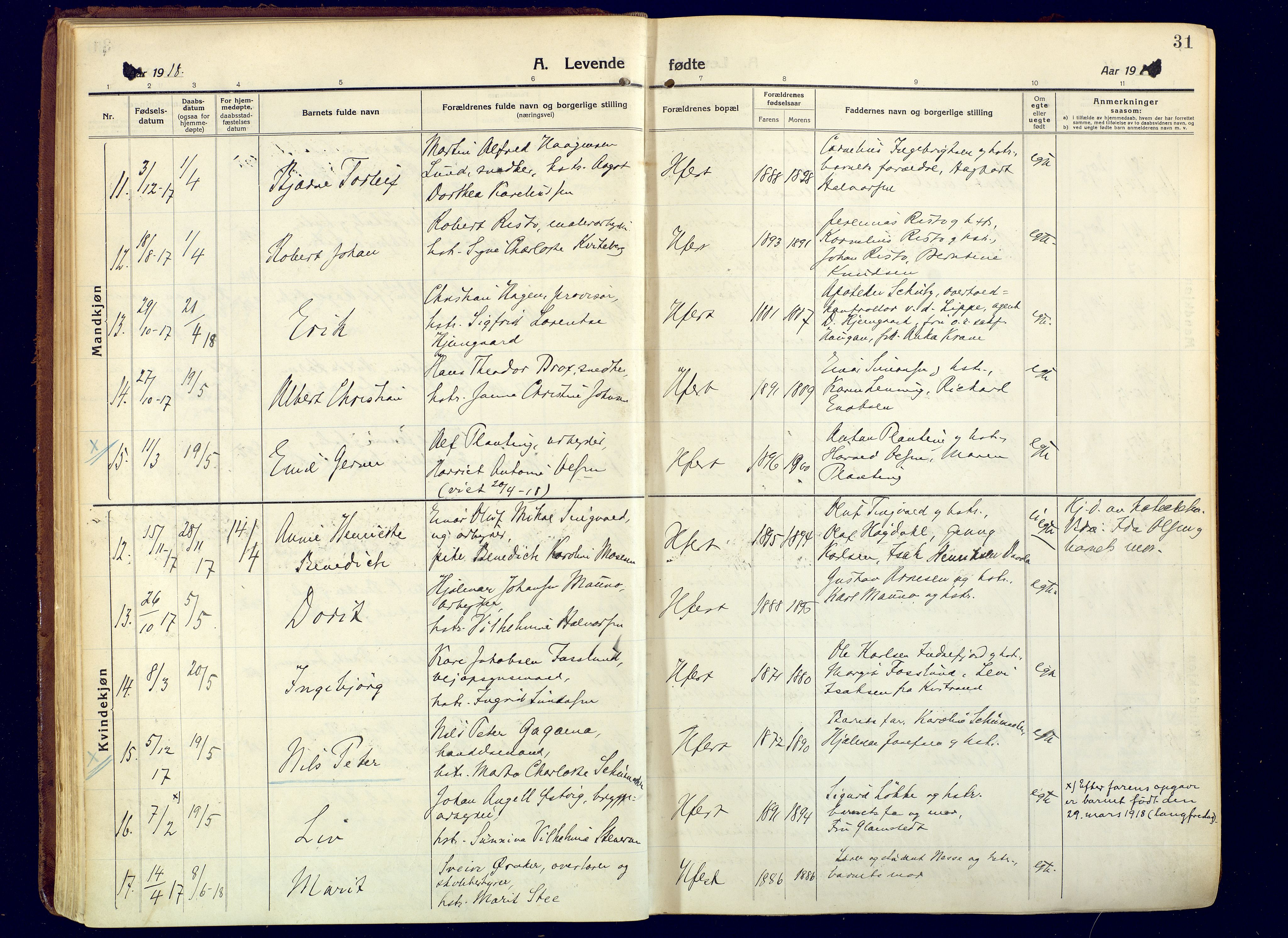 Hammerfest sokneprestkontor, AV/SATØ-S-1347/H/Ha/L0015.kirke: Parish register (official) no. 15, 1916-1923, p. 31