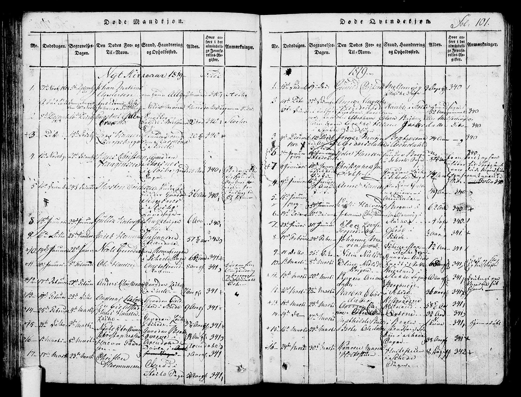 Stokke kirkebøker, SAKO/A-320/F/Fa/L0005: Parish register (official) no. I 5, 1815-1826, p. 101