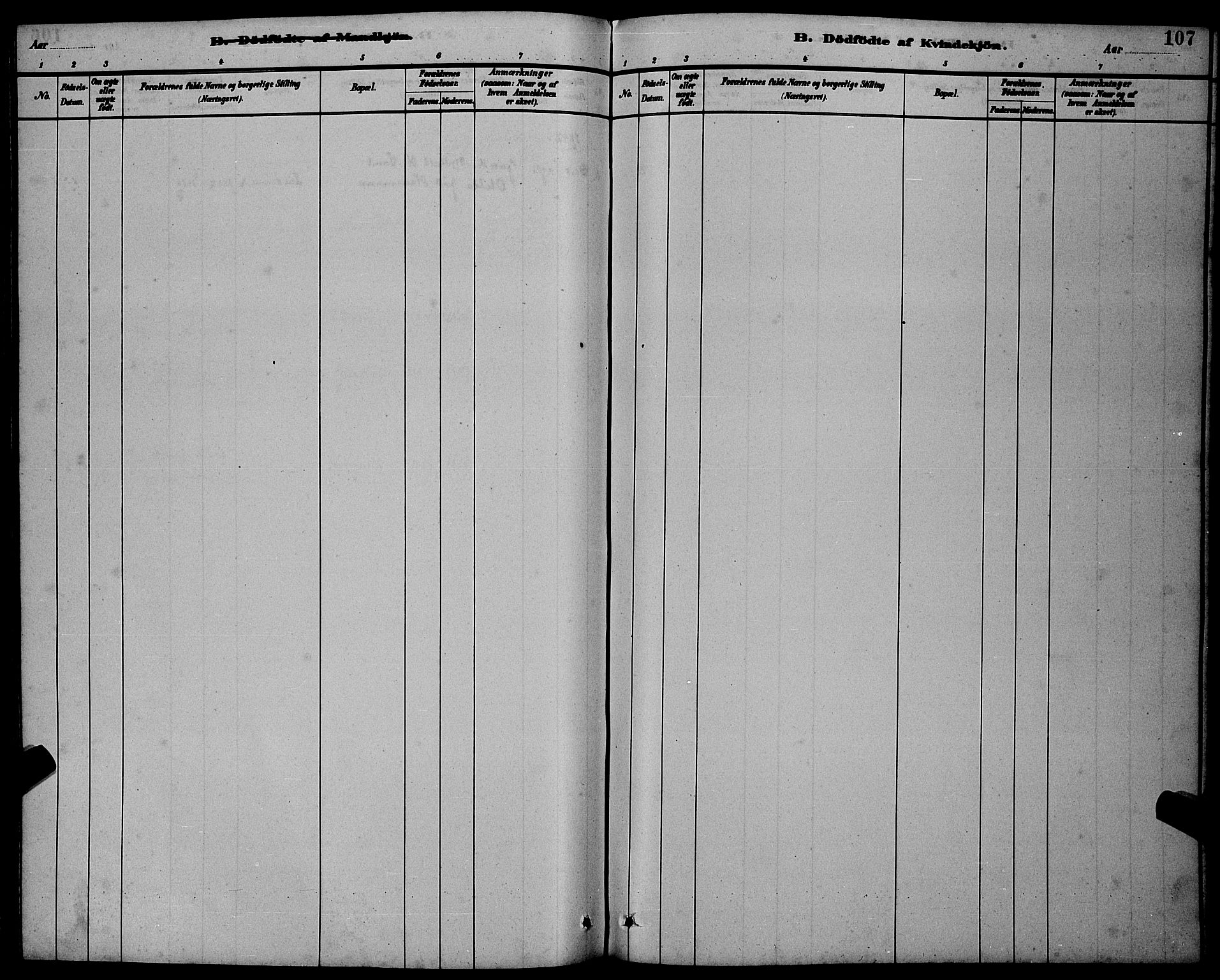 Ministerialprotokoller, klokkerbøker og fødselsregistre - Møre og Romsdal, AV/SAT-A-1454/501/L0017: Parish register (copy) no. 501C03, 1885-1901, p. 107