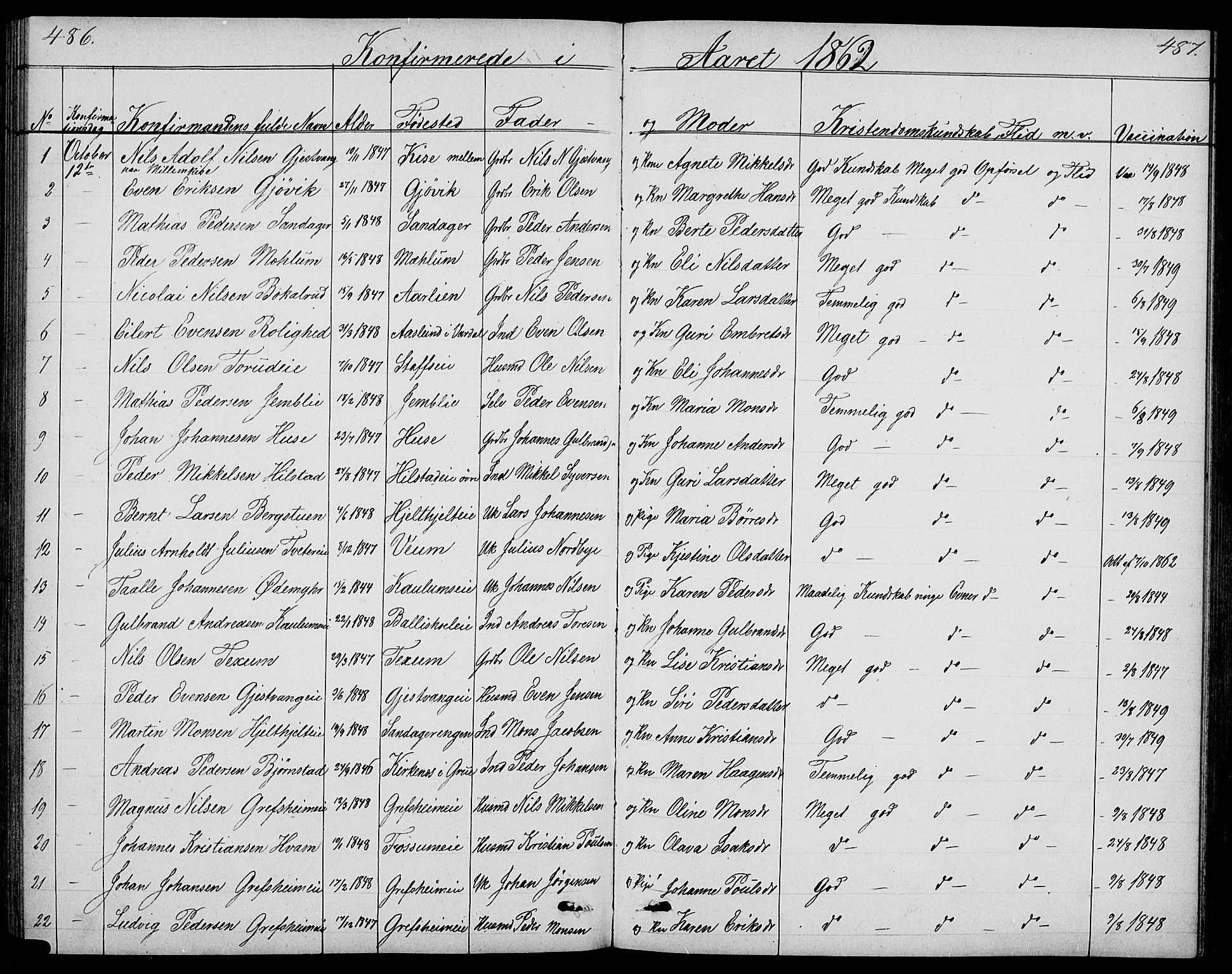 Nes prestekontor, Hedmark, SAH/PREST-020/L/La/L0005: Parish register (copy) no. 5, 1852-1889, p. 486-487
