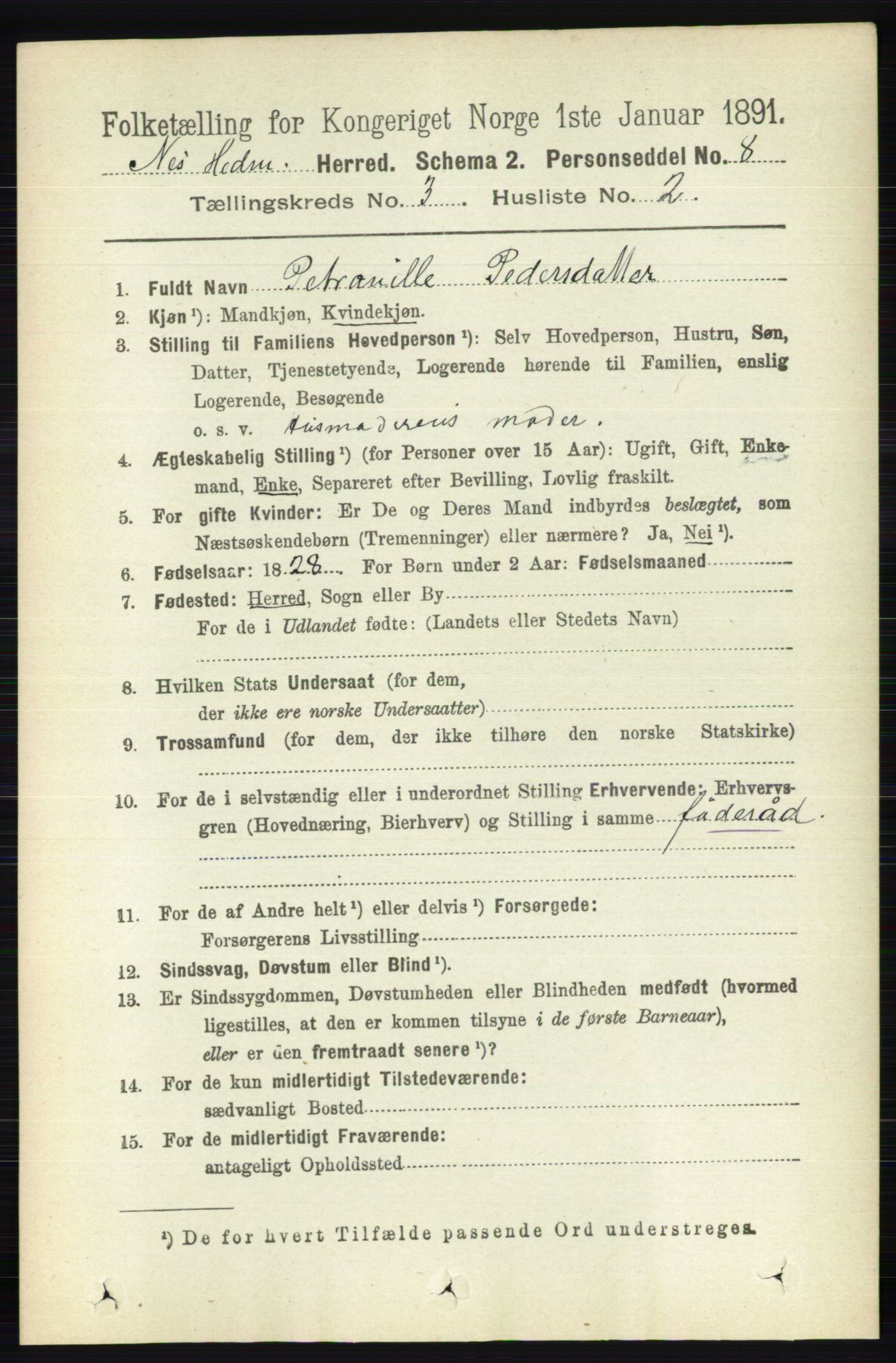 RA, 1891 census for 0411 Nes, 1891, p. 1607