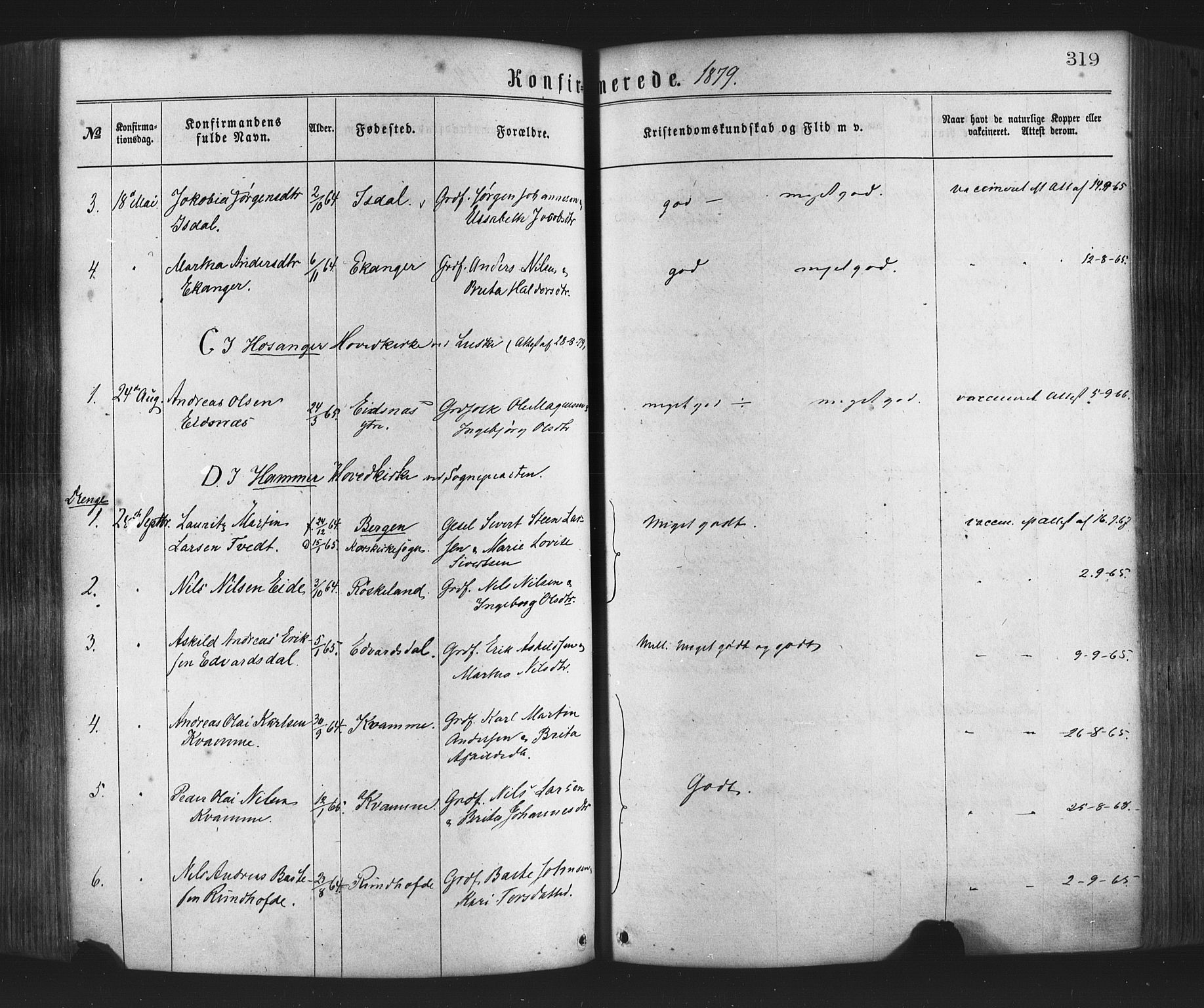 Hamre sokneprestembete, AV/SAB-A-75501/H/Ha/Haa/Haaa/L0015: Parish register (official) no. A 15, 1870-1881, p. 319