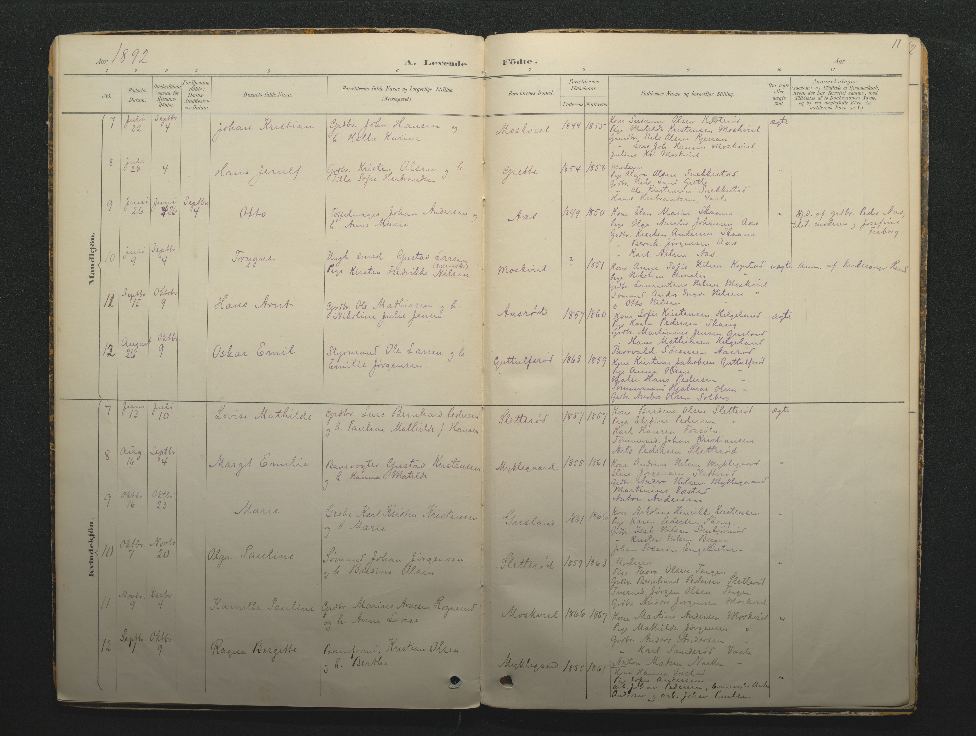 Borre kirkebøker, SAKO/A-338/F/Fc/L0002: Parish register (official) no. III 2, 1888-1896, p. 11