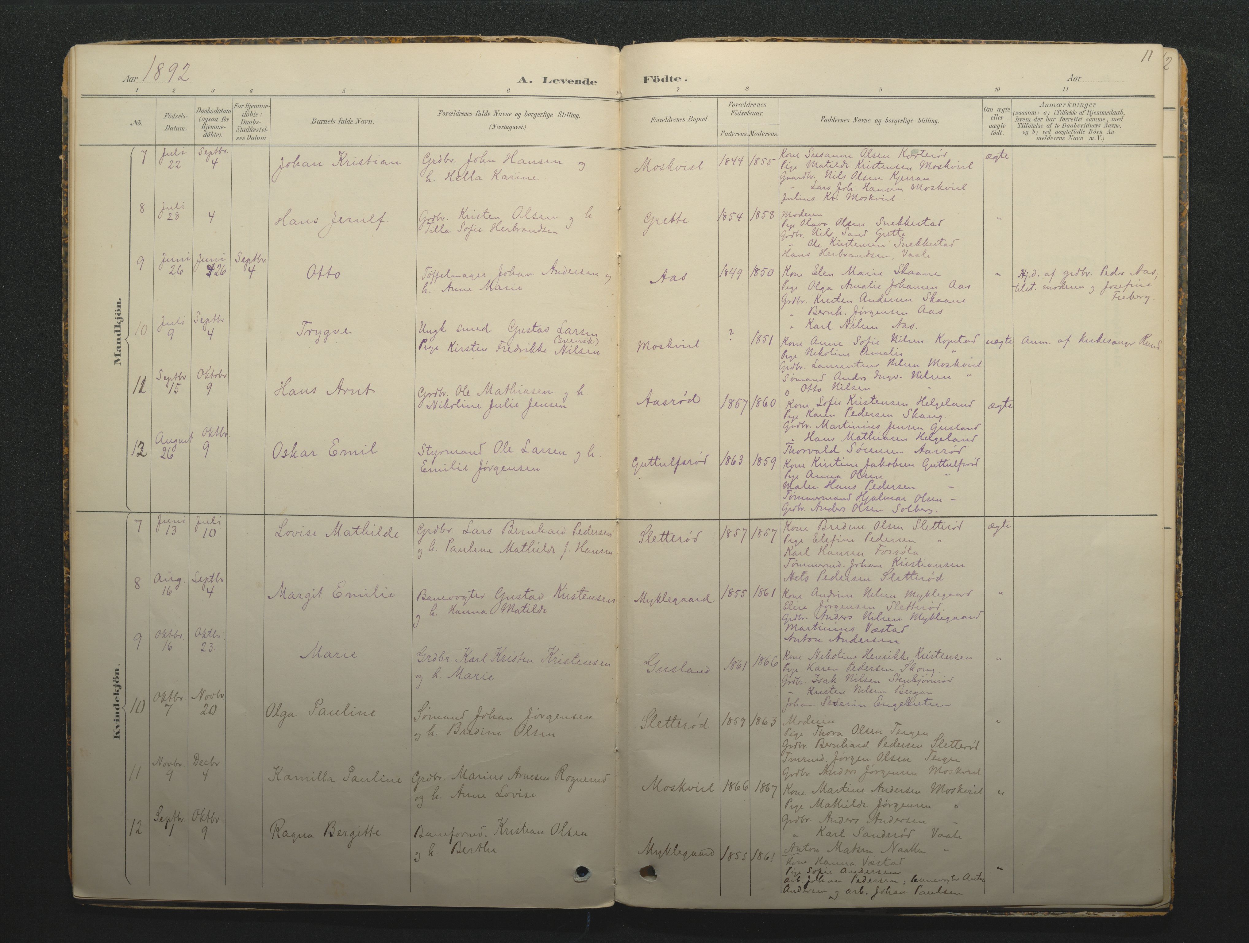 Borre kirkebøker, AV/SAKO-A-338/F/Fc/L0002: Parish register (official) no. III 2, 1888-1896, p. 11