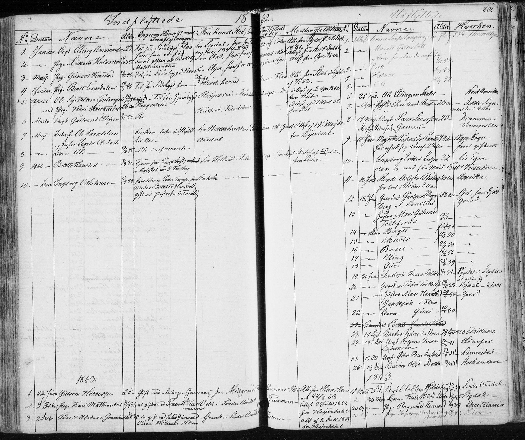 Nes kirkebøker, SAKO/A-236/F/Fa/L0009: Parish register (official) no. 9, 1834-1863, p. 601