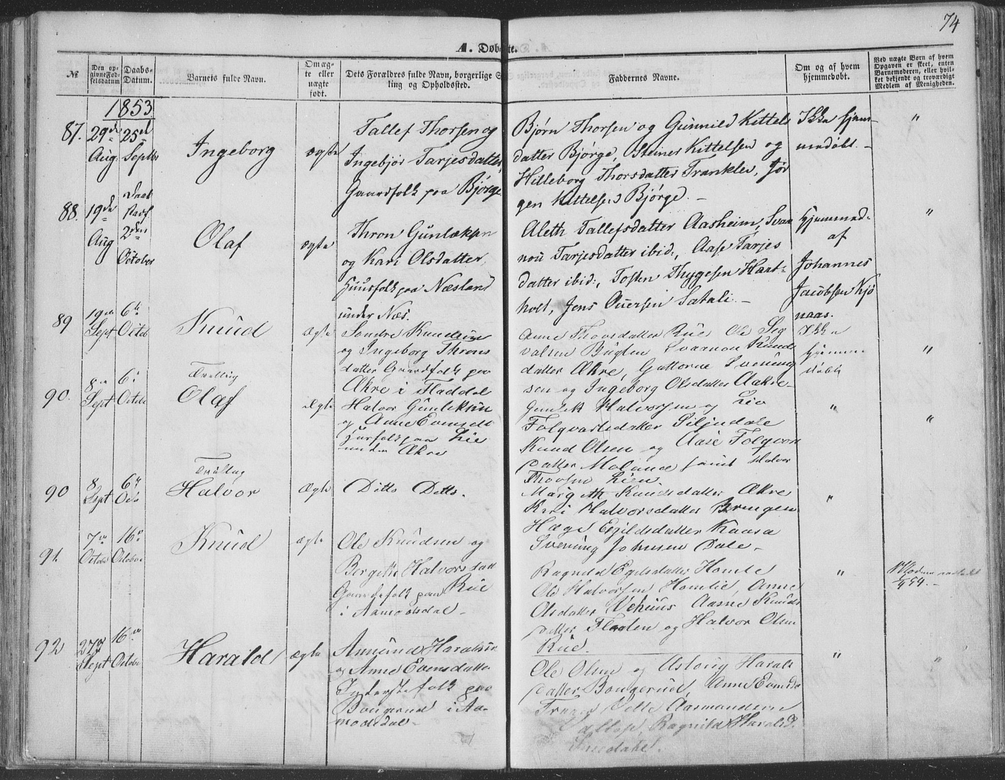 Seljord kirkebøker, SAKO/A-20/F/Fa/L012a: Parish register (official) no. I 12A, 1850-1865, p. 74