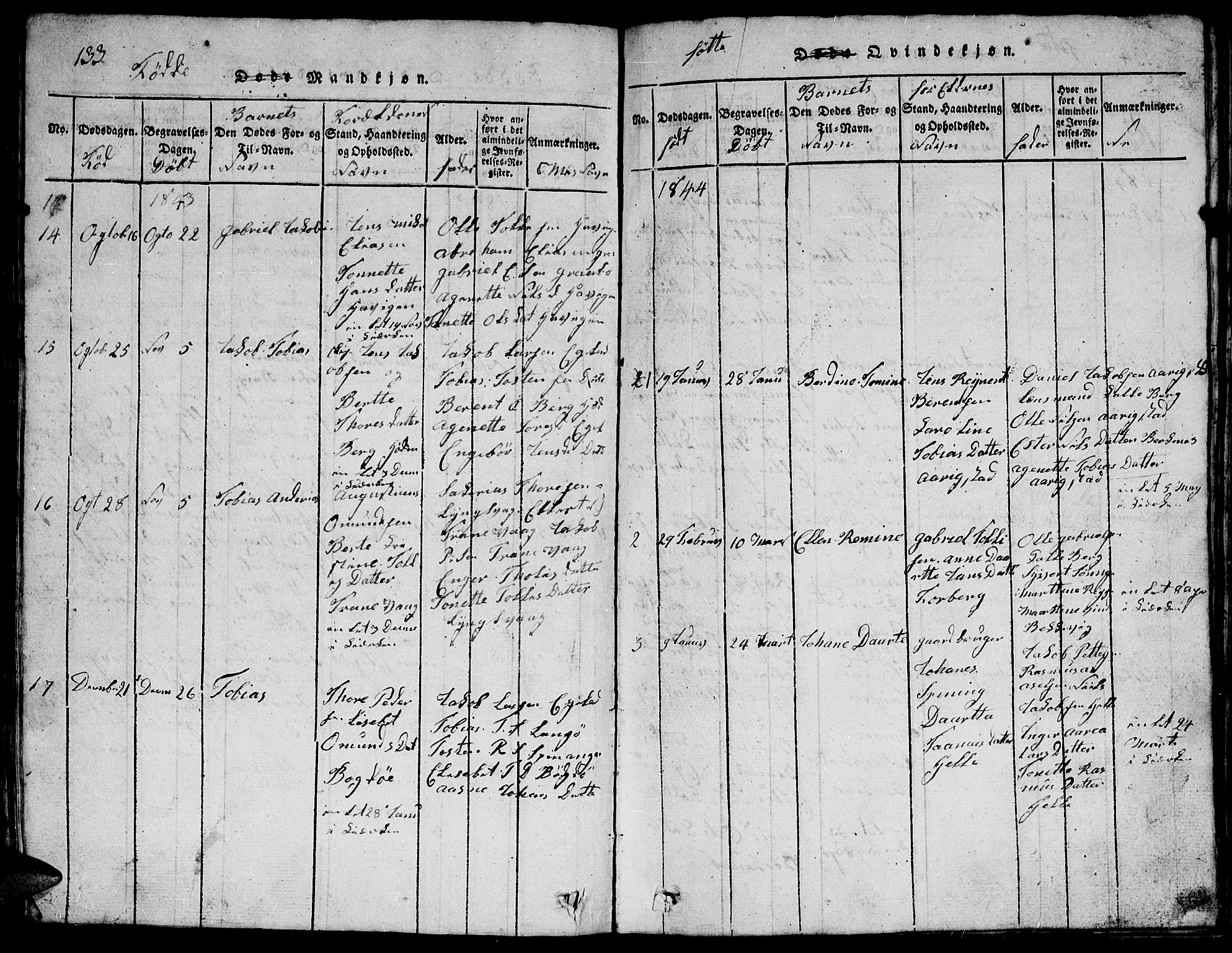 Herad sokneprestkontor, SAK/1111-0018/F/Fb/Fbb/L0001: Parish register (copy) no. B 1, 1815-1852, p. 133