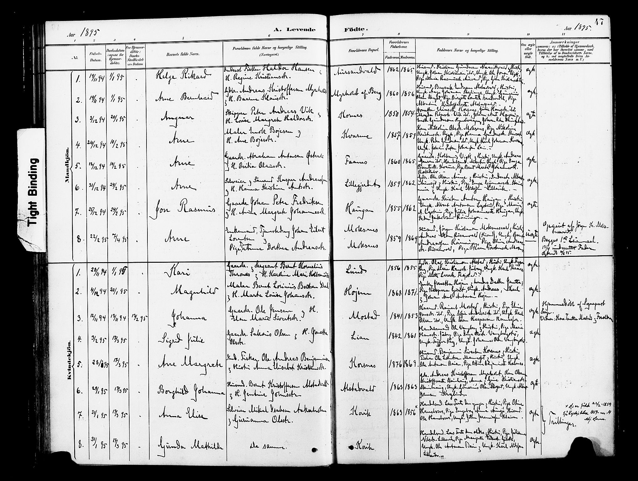 Ministerialprotokoller, klokkerbøker og fødselsregistre - Nord-Trøndelag, AV/SAT-A-1458/713/L0121: Parish register (official) no. 713A10, 1888-1898, p. 47