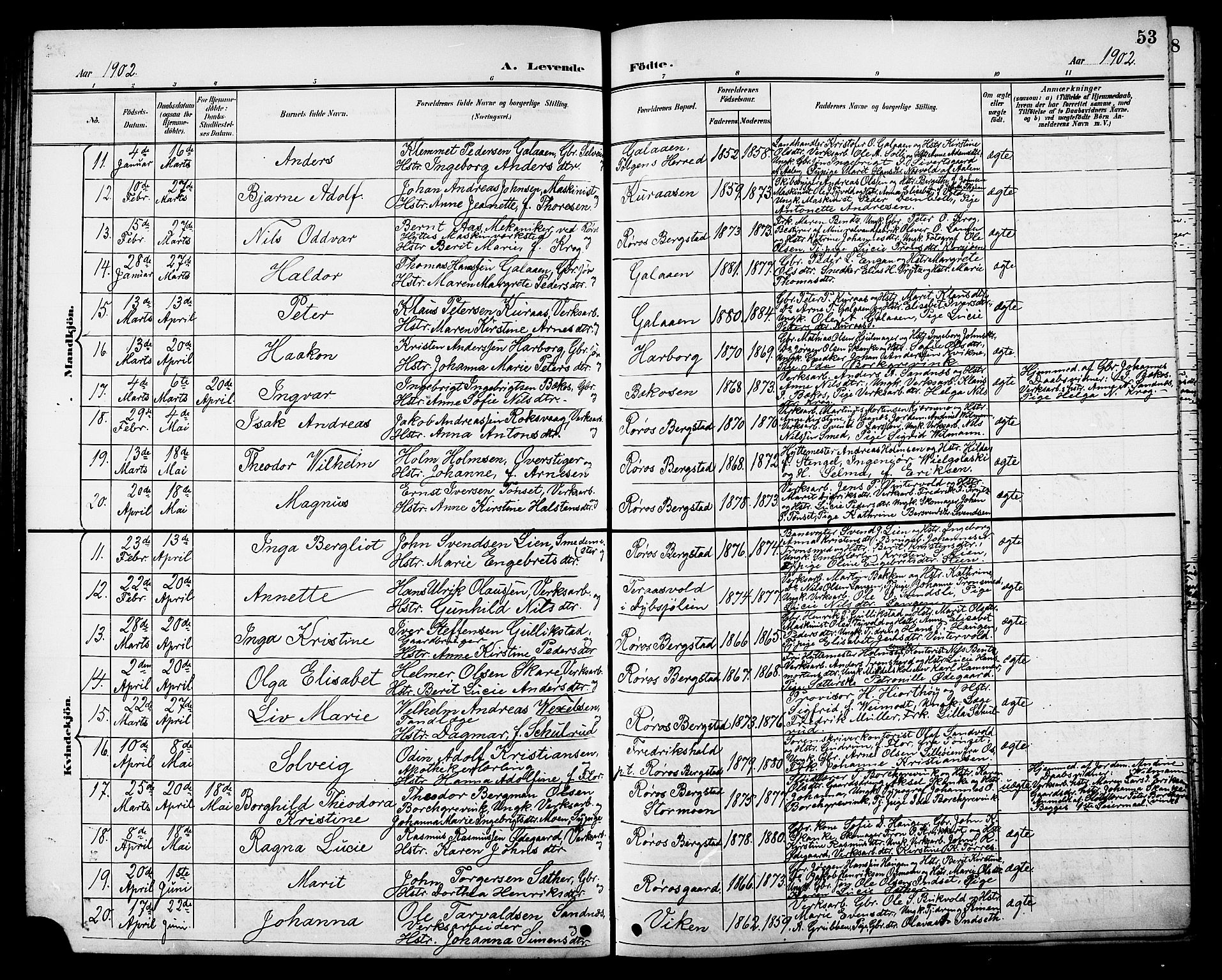 Ministerialprotokoller, klokkerbøker og fødselsregistre - Sør-Trøndelag, SAT/A-1456/681/L0941: Parish register (copy) no. 681C05, 1896-1905, p. 53