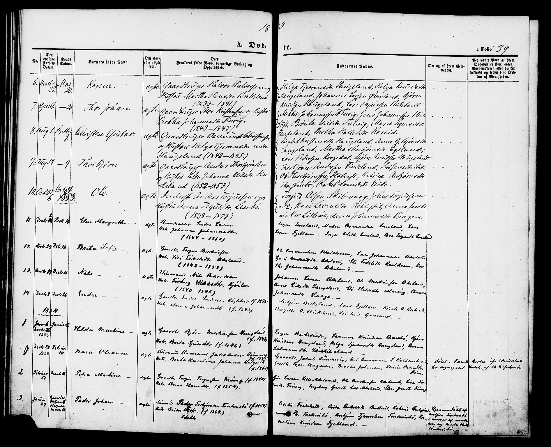 Vikedal sokneprestkontor, AV/SAST-A-101840/01/IV: Parish register (official) no. A 9, 1868-1885, p. 39