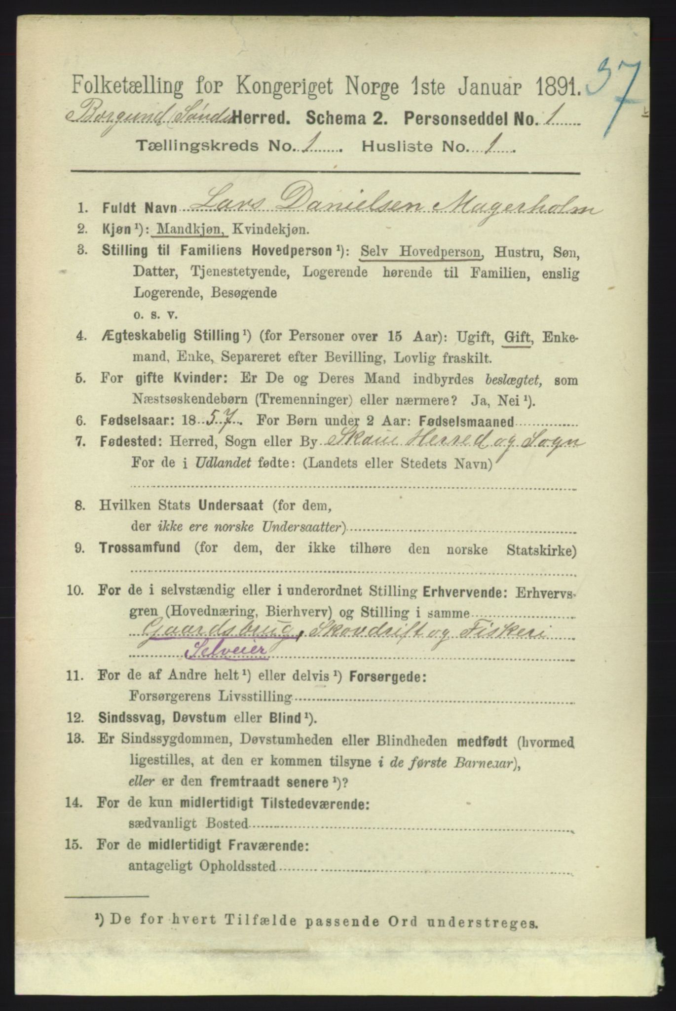 RA, 1891 census for 1531 Borgund, 1891, p. 119