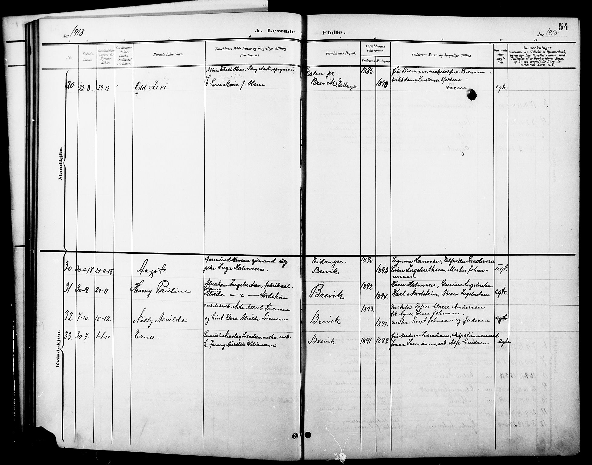 Brevik kirkebøker, SAKO/A-255/G/Ga/L0005: Parish register (copy) no. 5, 1901-1924, p. 54