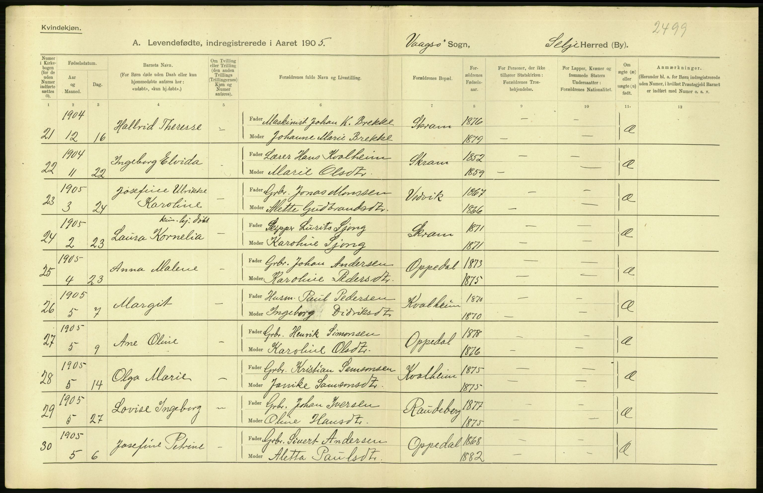 Statistisk sentralbyrå, Sosiodemografiske emner, Befolkning, AV/RA-S-2228/D/Df/Dfa/Dfac/L0028: Nordre Bergenhus amt: Fødte. Bygder., 1905, p. 24