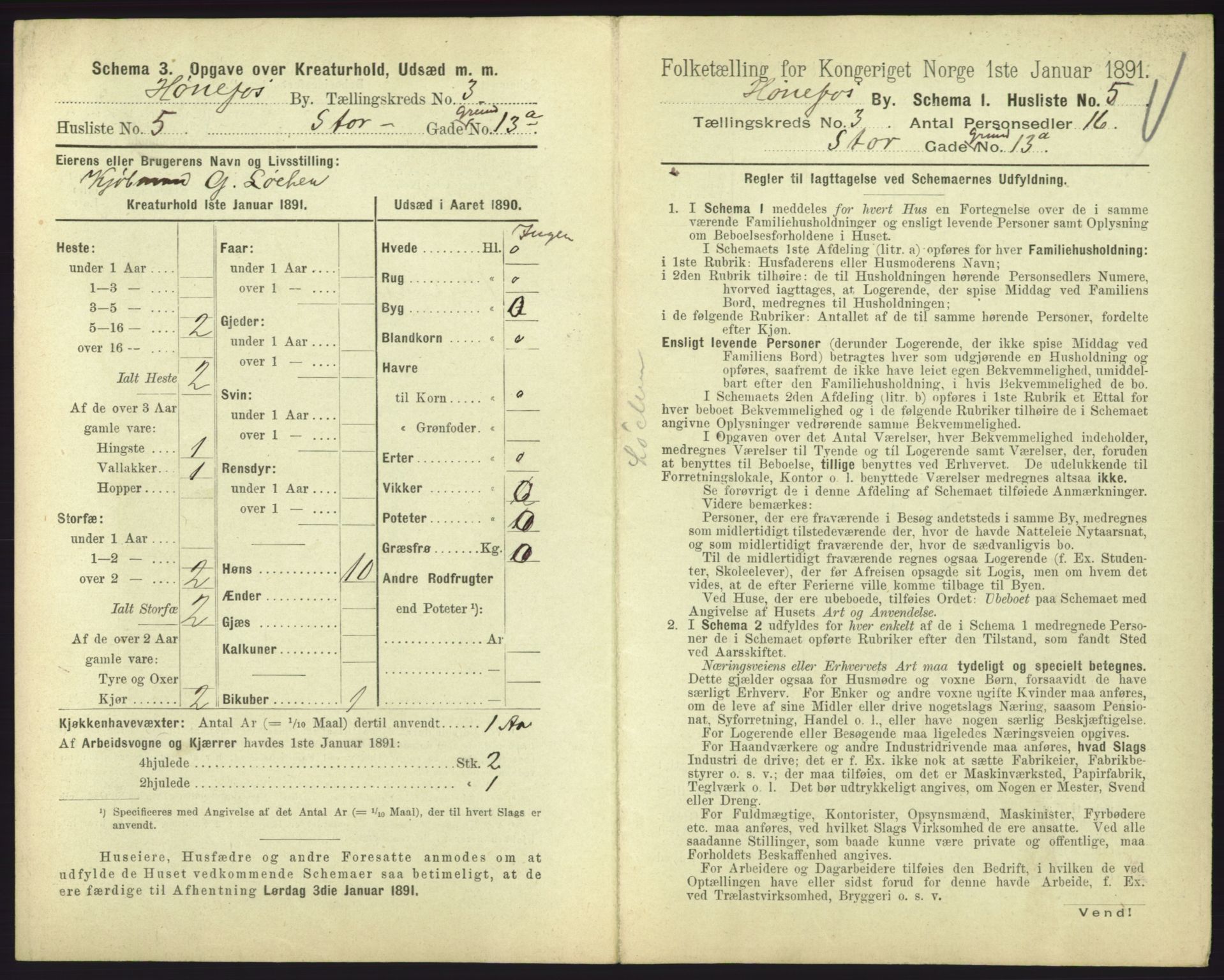 RA, 1891 census for 0601 Hønefoss, 1891, p. 113