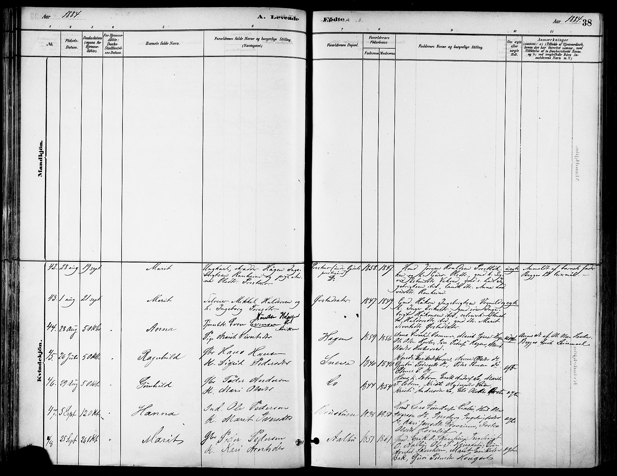 Ministerialprotokoller, klokkerbøker og fødselsregistre - Sør-Trøndelag, AV/SAT-A-1456/678/L0901: Parish register (official) no. 678A10, 1881-1894, p. 38