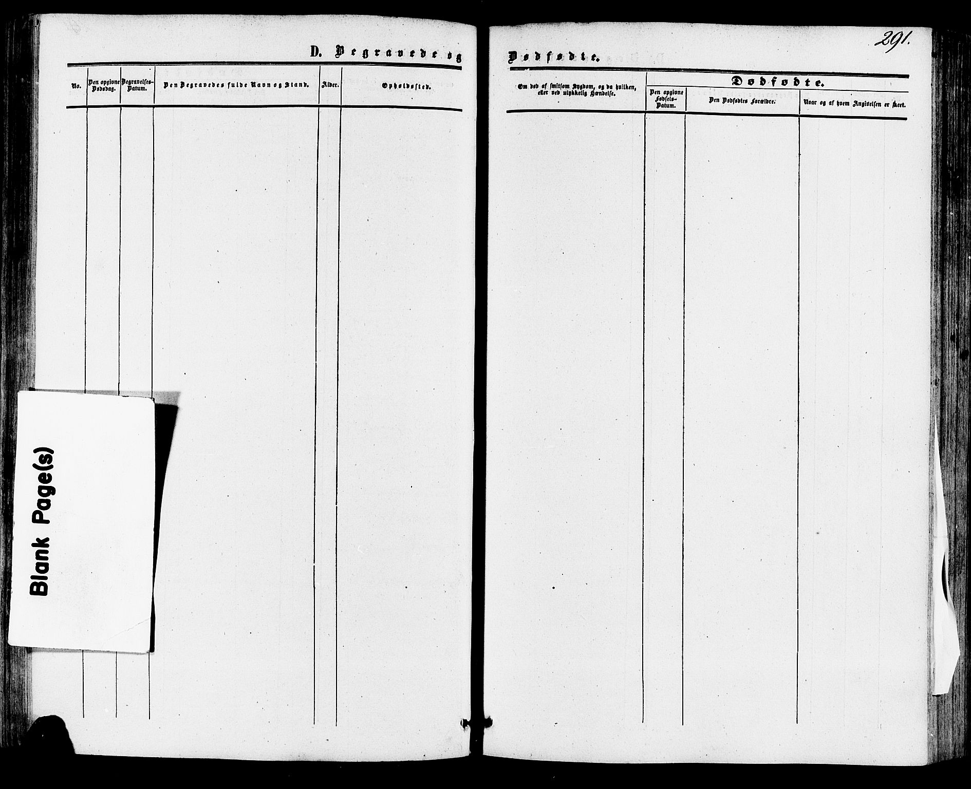 Skien kirkebøker, SAKO/A-302/F/Fa/L0007: Parish register (official) no. 7, 1856-1865, p. 291
