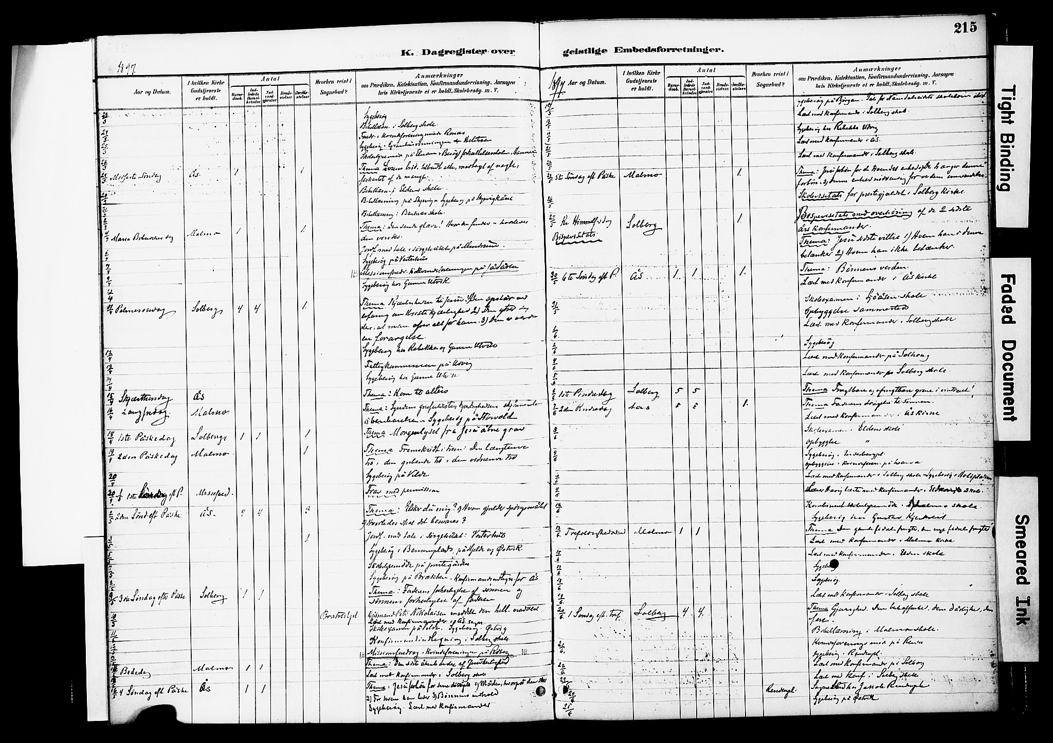 Ministerialprotokoller, klokkerbøker og fødselsregistre - Nord-Trøndelag, AV/SAT-A-1458/741/L0396: Parish register (official) no. 741A10, 1889-1901, p. 215