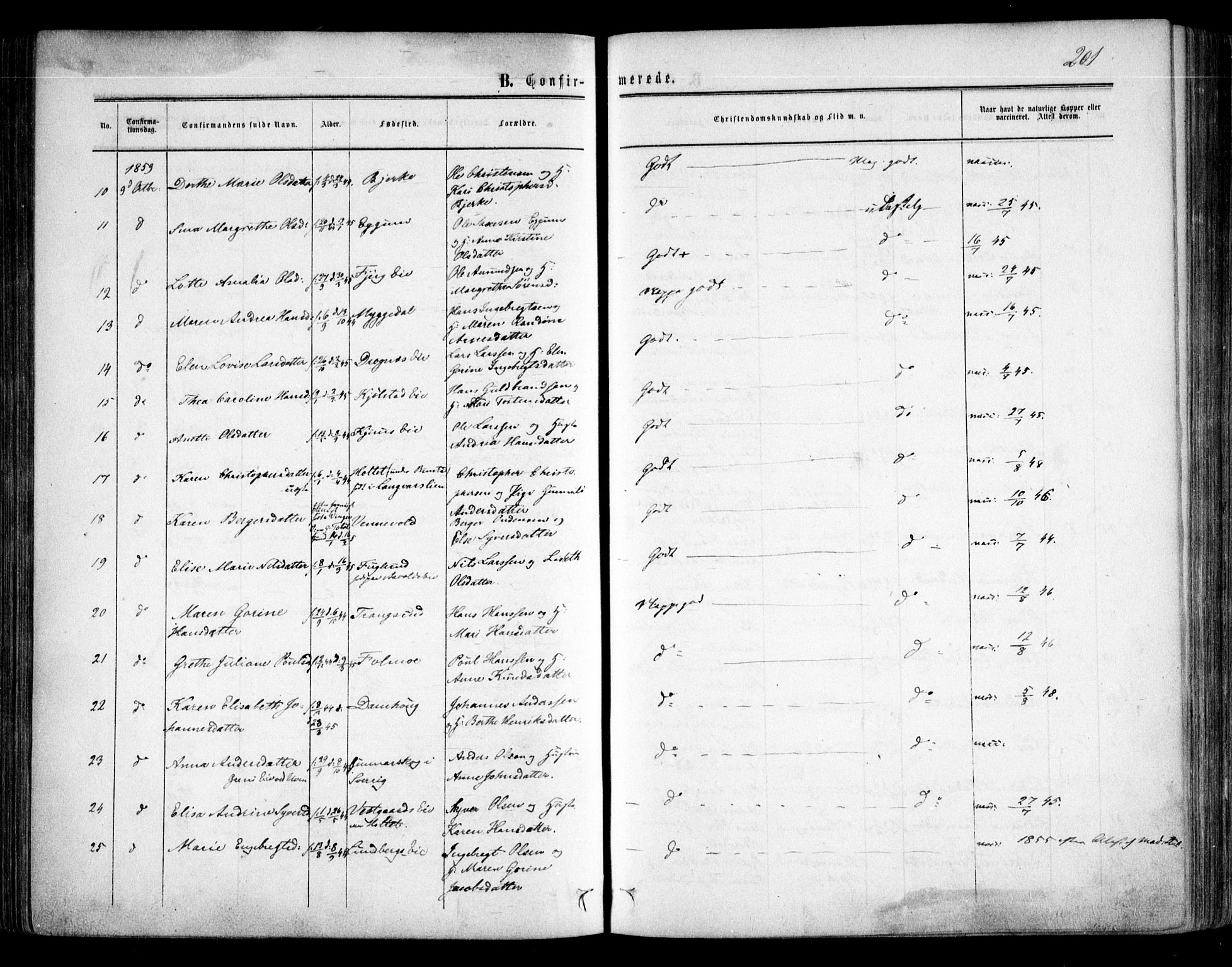 Nes prestekontor Kirkebøker, AV/SAO-A-10410/F/Fa/L0008: Parish register (official) no. I 8, 1859-1874, p. 201