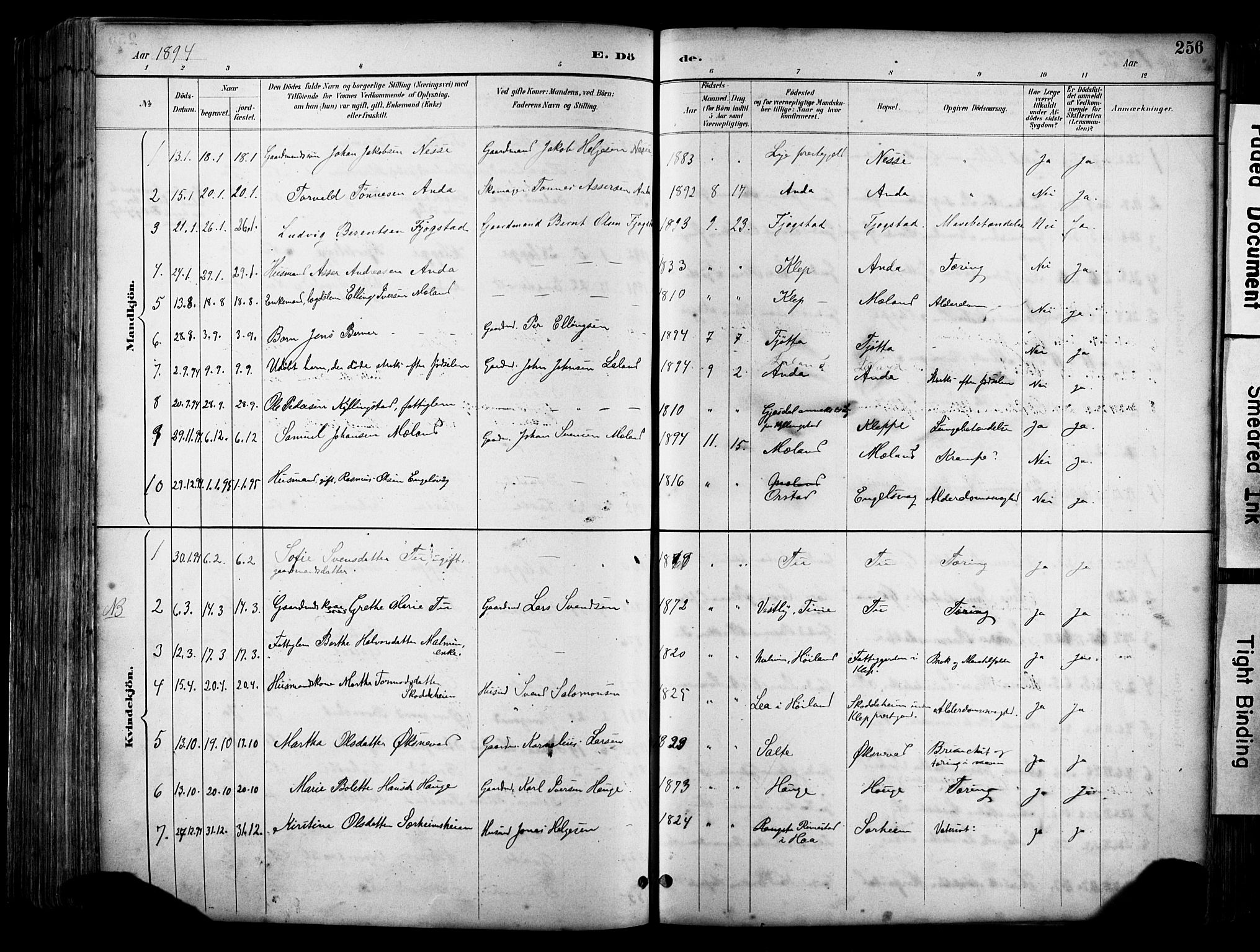 Klepp sokneprestkontor, AV/SAST-A-101803/001/3/30BA/L0009: Parish register (official) no. A 7, 1886-1915, p. 256