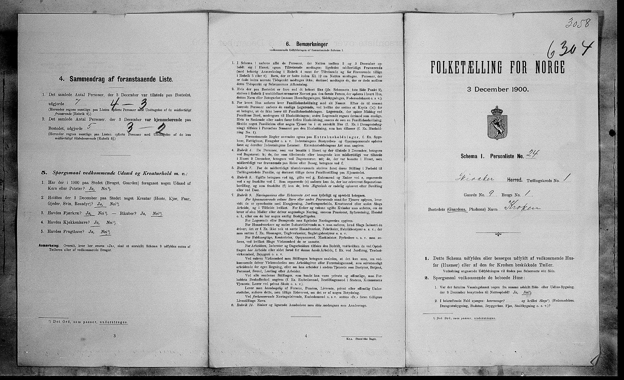 SAH, 1900 census for Skjåk, 1900, p. 6