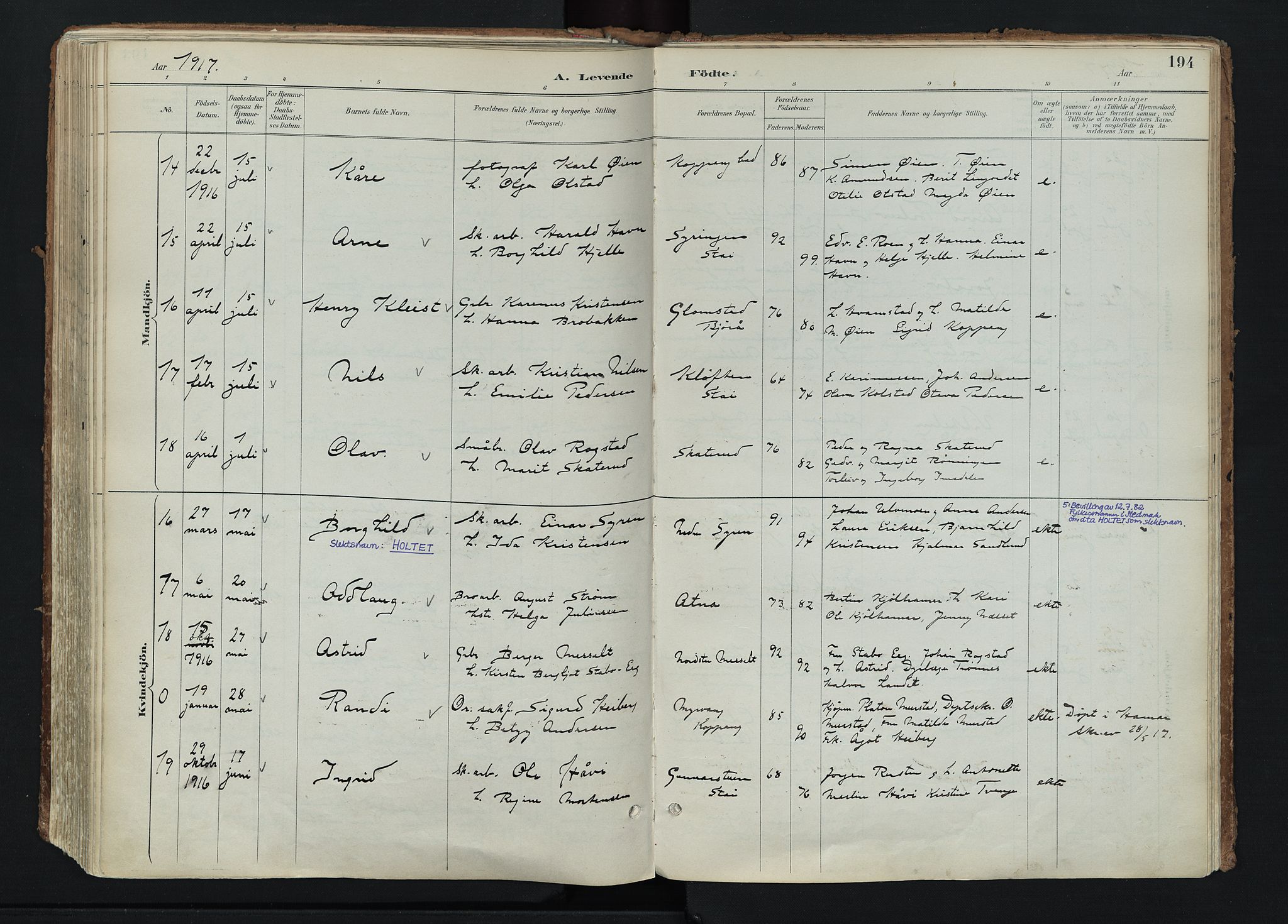 Stor-Elvdal prestekontor, AV/SAH-PREST-052/H/Ha/Haa/L0004: Parish register (official) no. 4, 1890-1922, p. 194