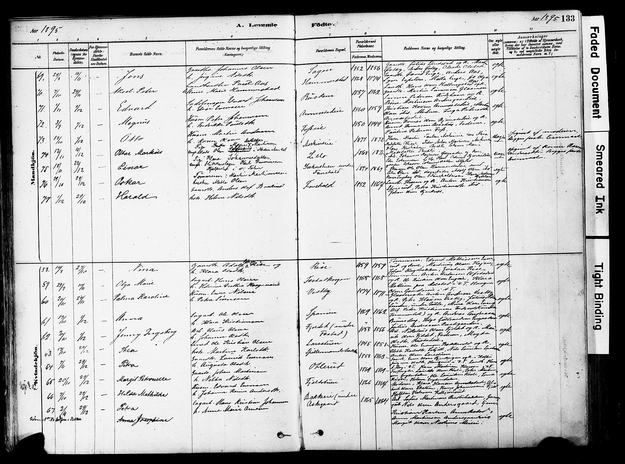 Østre Toten prestekontor, AV/SAH-PREST-104/H/Ha/Haa/L0006: Parish register (official) no. 6 /1, 1878-1896, p. 133