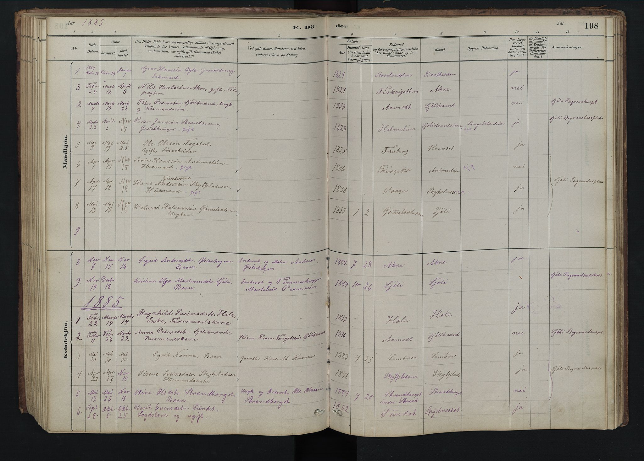 Rendalen prestekontor, SAH/PREST-054/H/Ha/Hab/L0009: Parish register (copy) no. 9, 1879-1902, p. 198