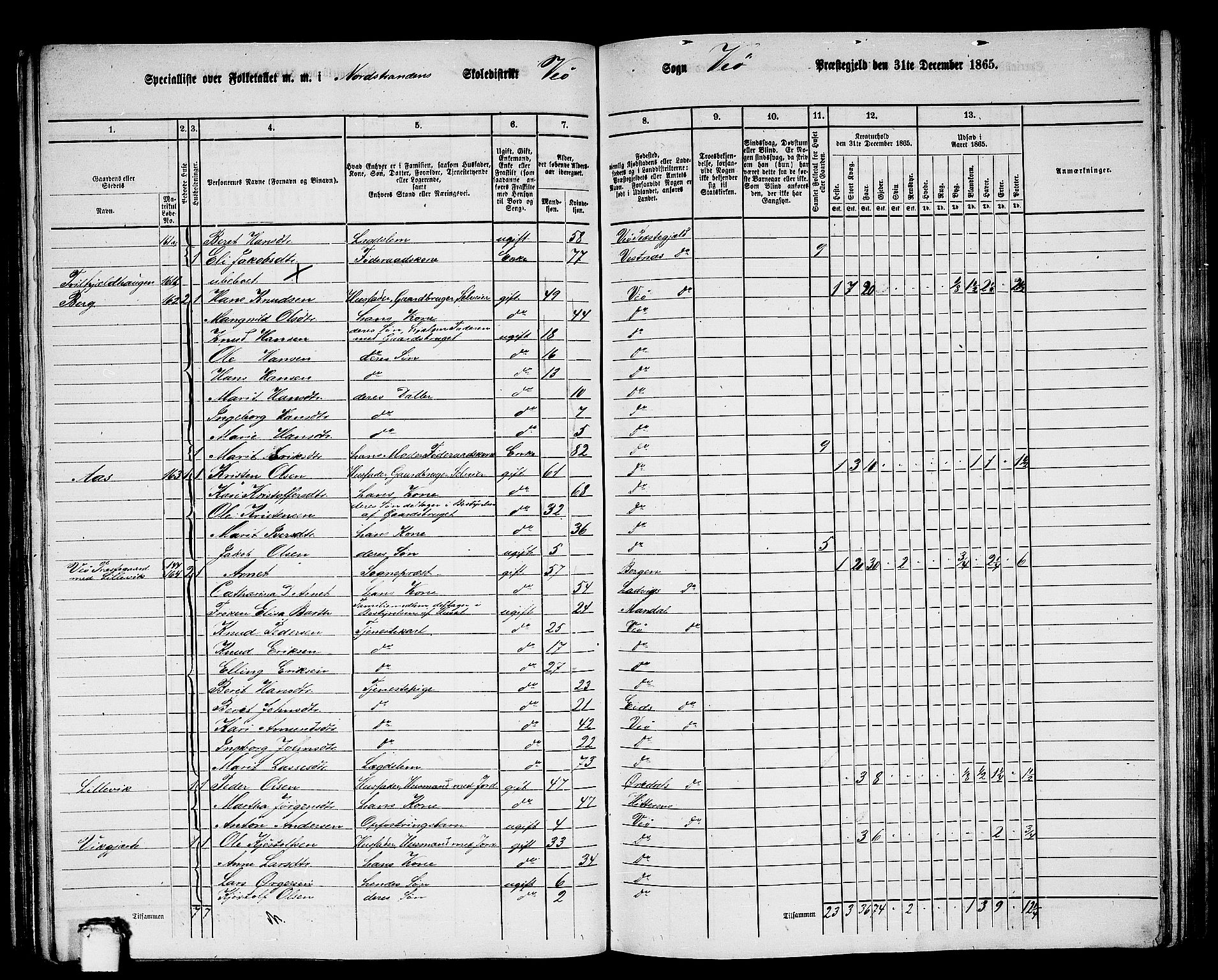 RA, 1865 census for Veøy, 1865, p. 14