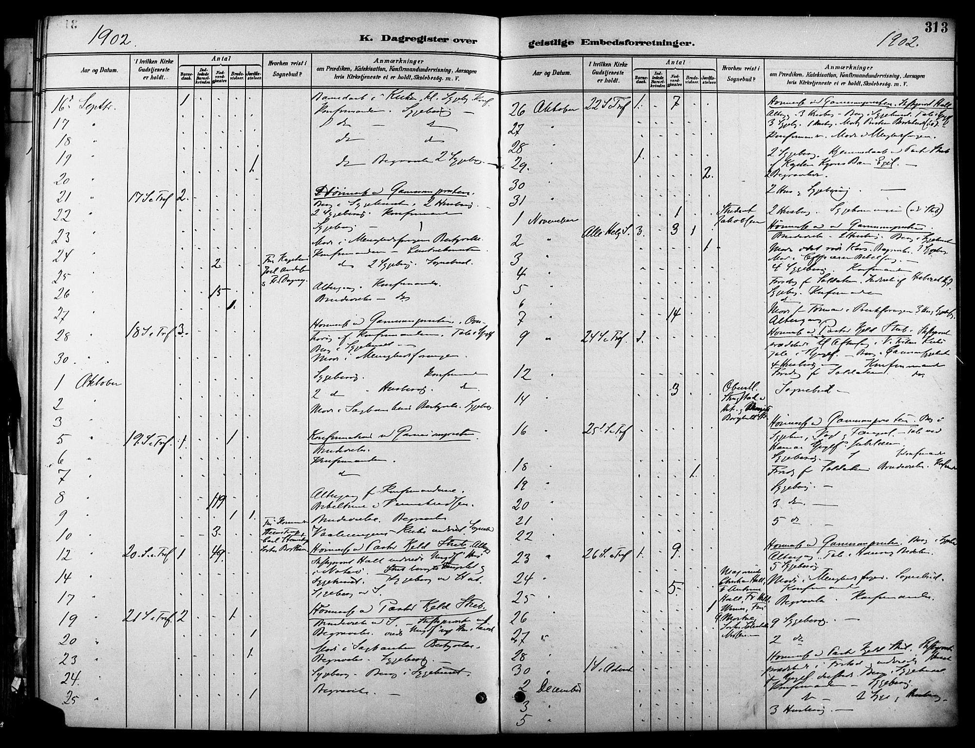 Garnisonsmenigheten Kirkebøker, SAO/A-10846/F/Fa/L0013: Parish register (official) no. 13, 1894-1904, p. 313