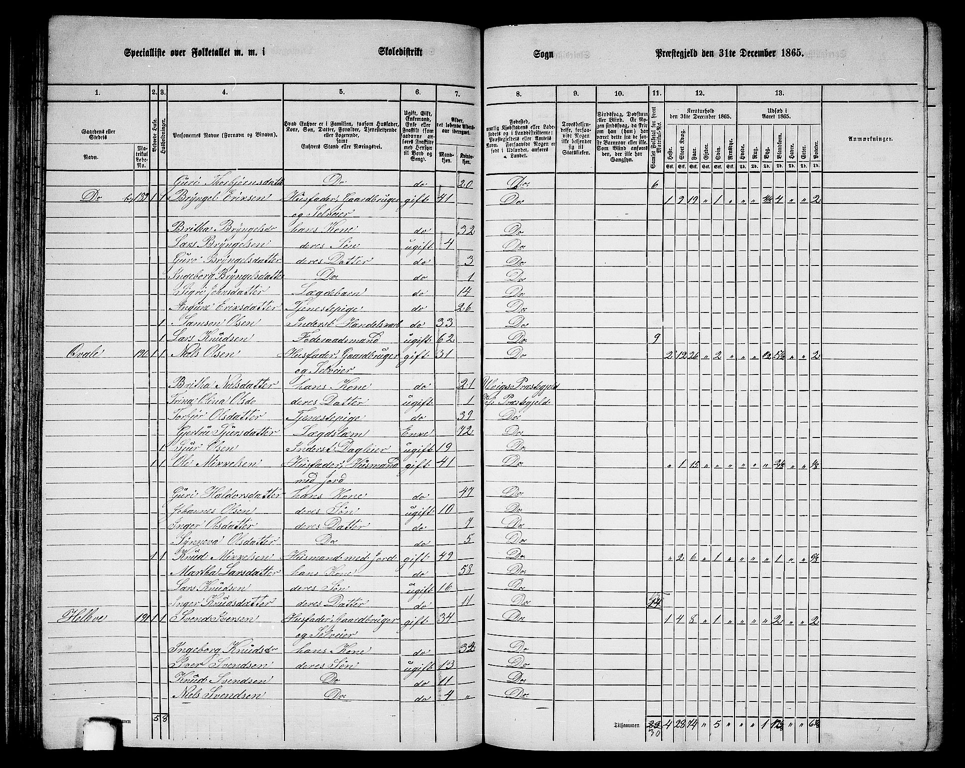 RA, 1865 census for Voss, 1865, p. 102