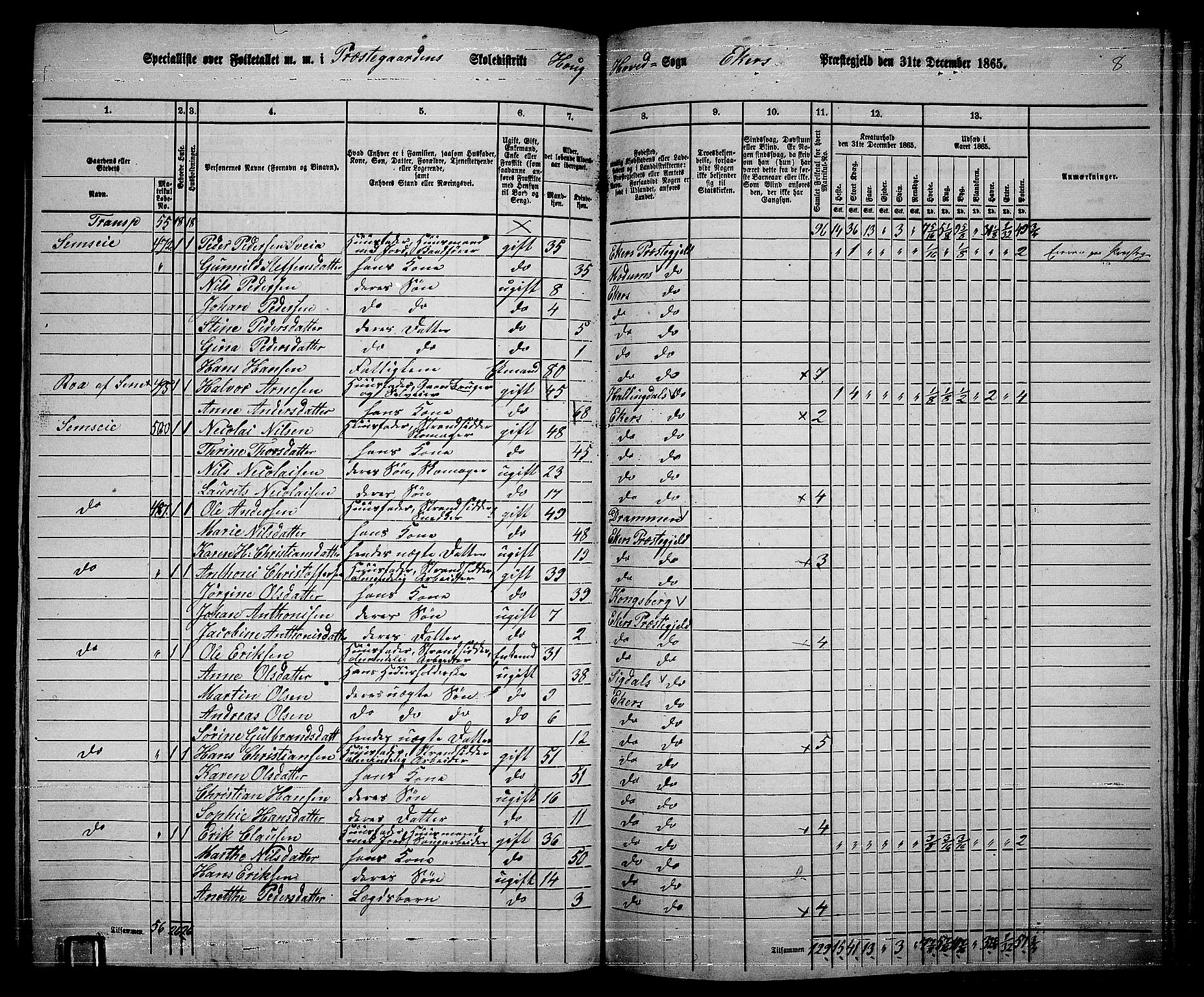 RA, 1865 census for Eiker, 1865, p. 193