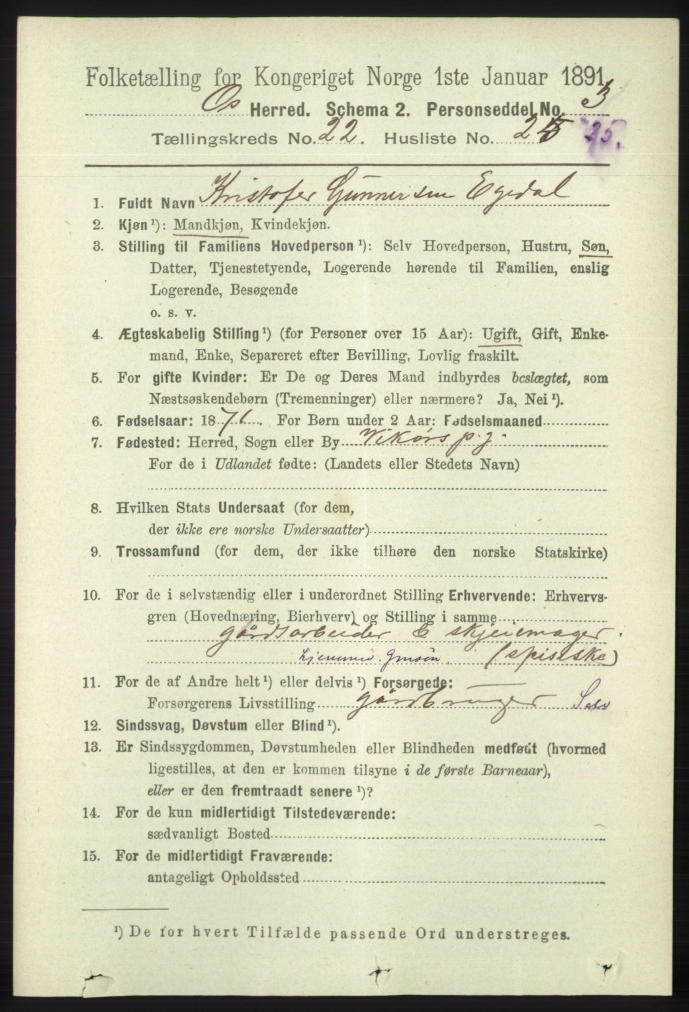 RA, 1891 census for 1243 Os, 1891, p. 5043