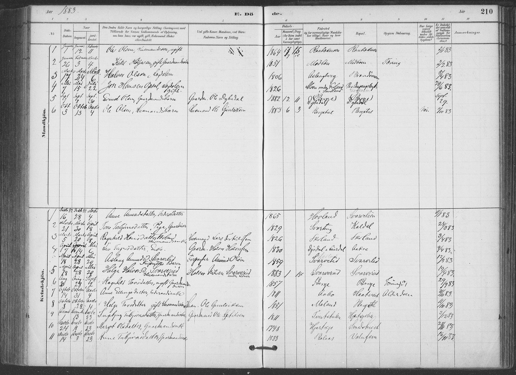 Hjartdal kirkebøker, SAKO/A-270/F/Fa/L0010: Parish register (official) no. I 10, 1880-1929, p. 210