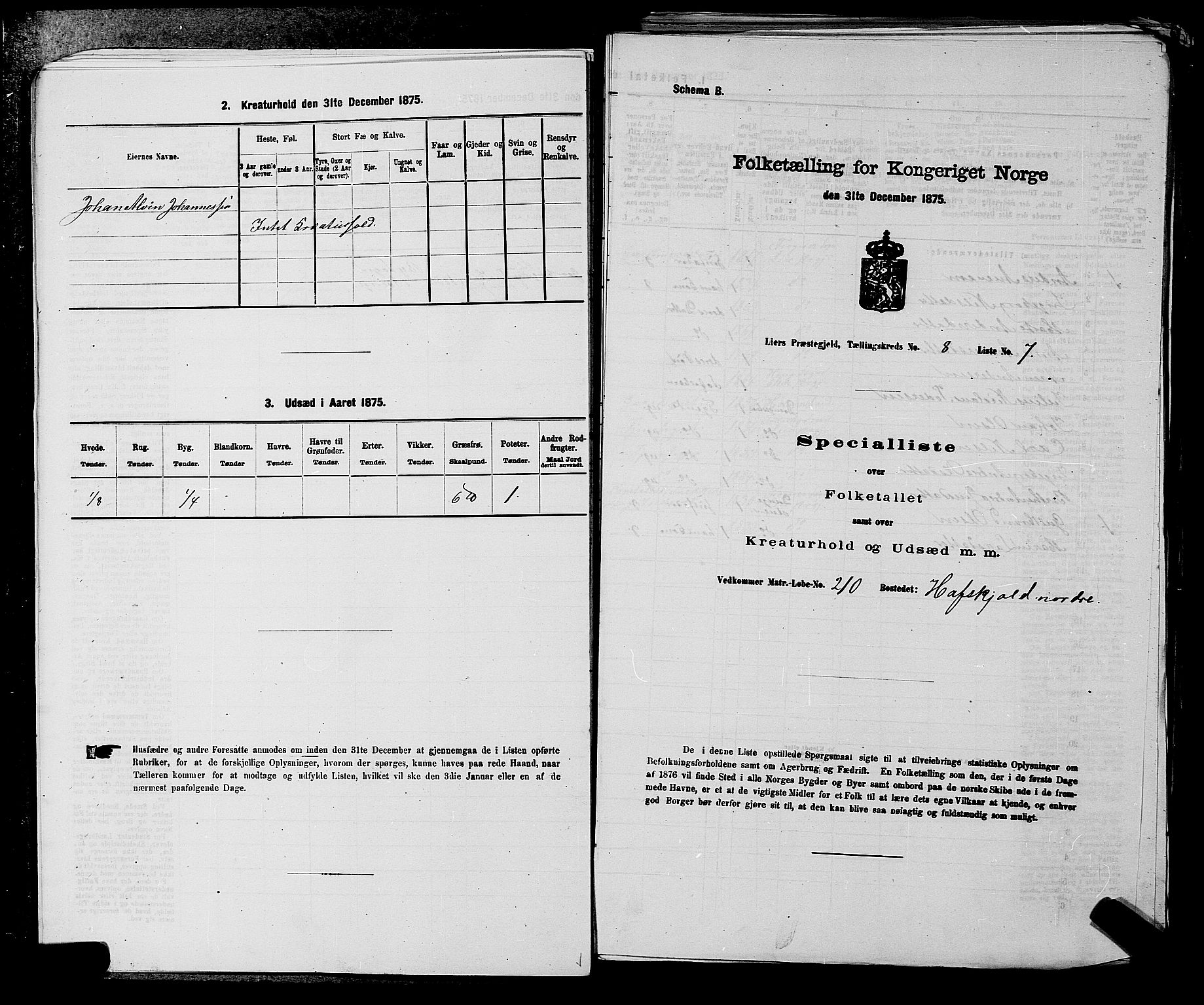 SAKO, 1875 census for 0626P Lier, 1875, p. 1318