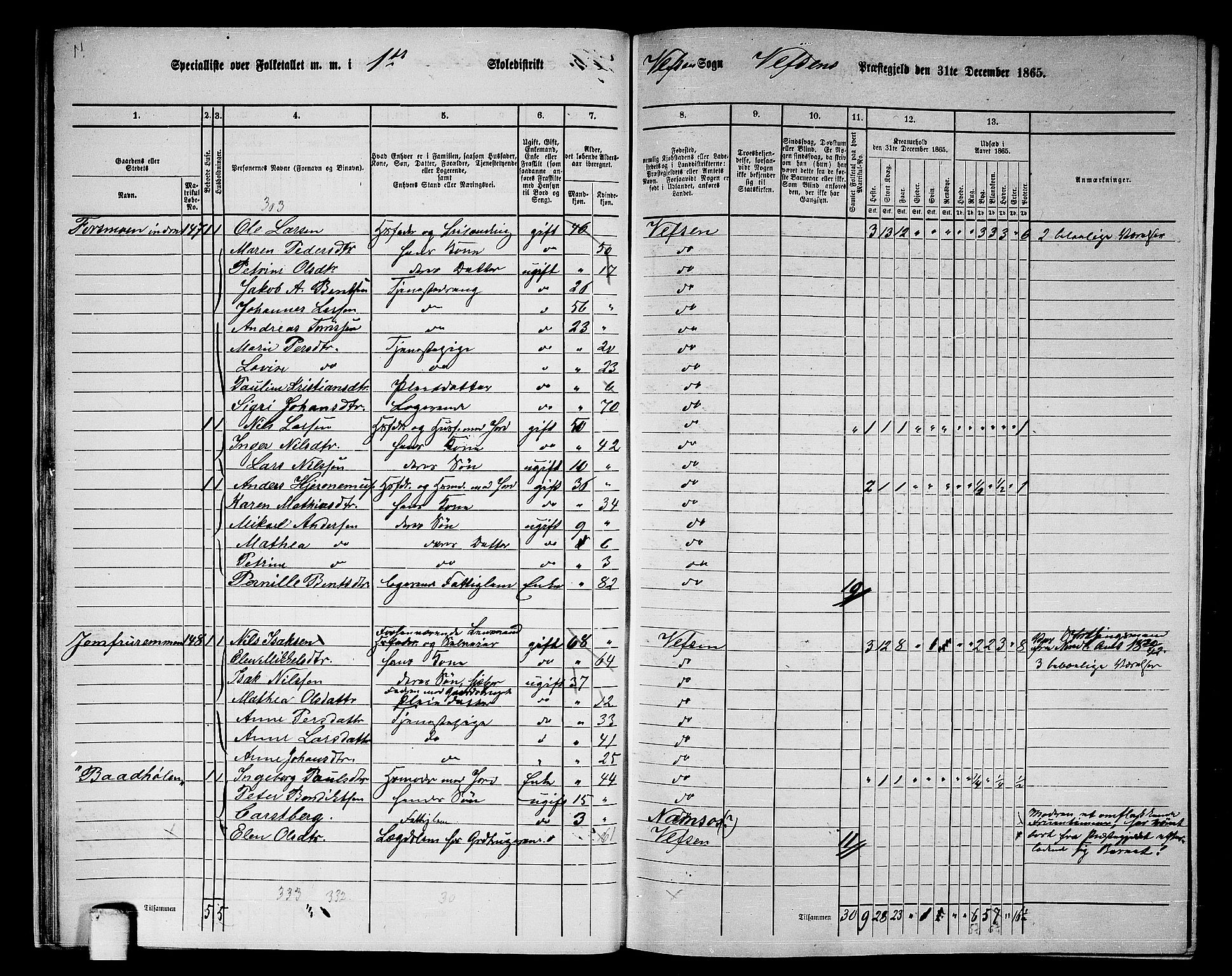 RA, 1865 census for Vefsn, 1865, p. 25