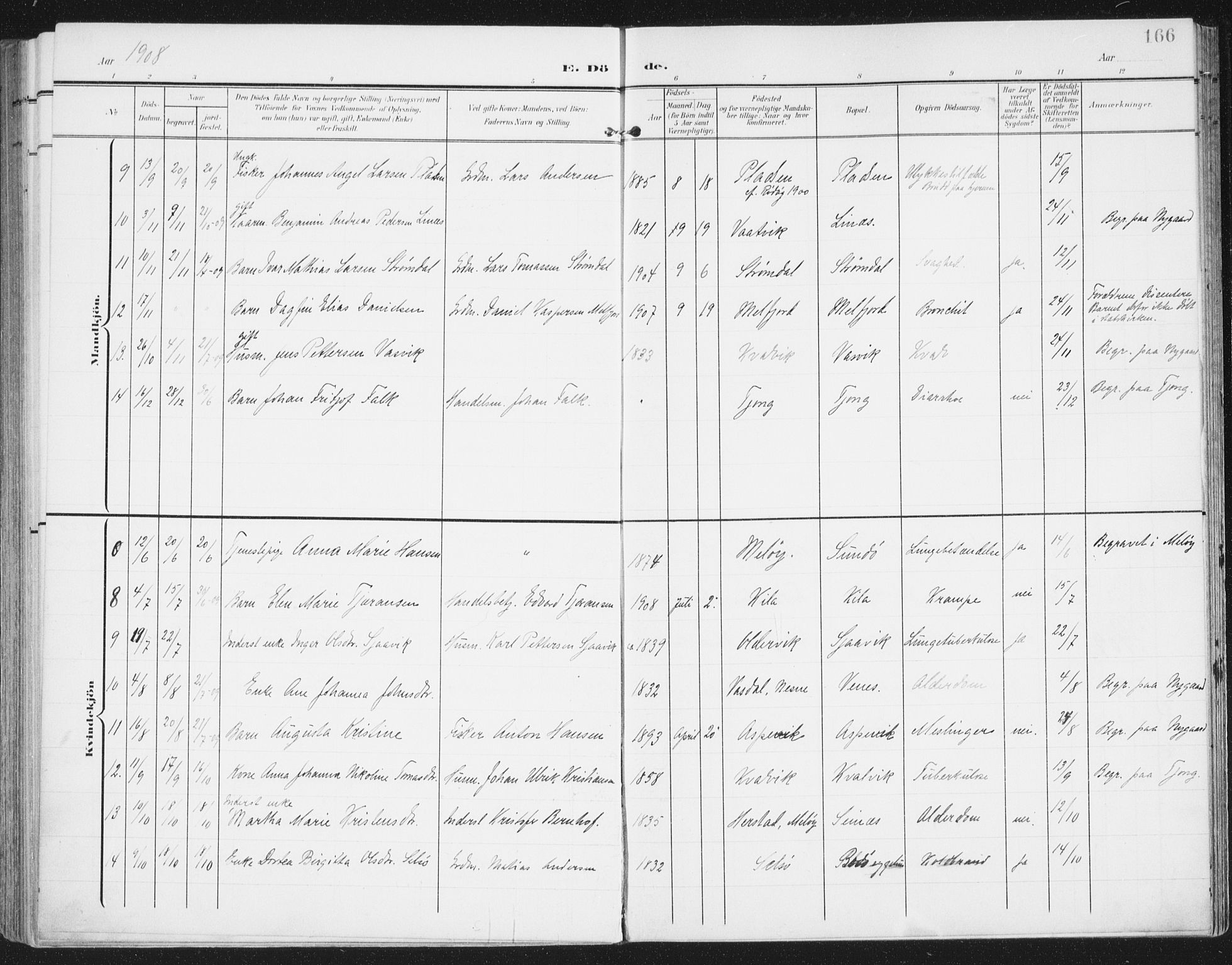 Ministerialprotokoller, klokkerbøker og fødselsregistre - Nordland, AV/SAT-A-1459/841/L0612: Parish register (official) no. 841A15, 1902-1910, p. 166