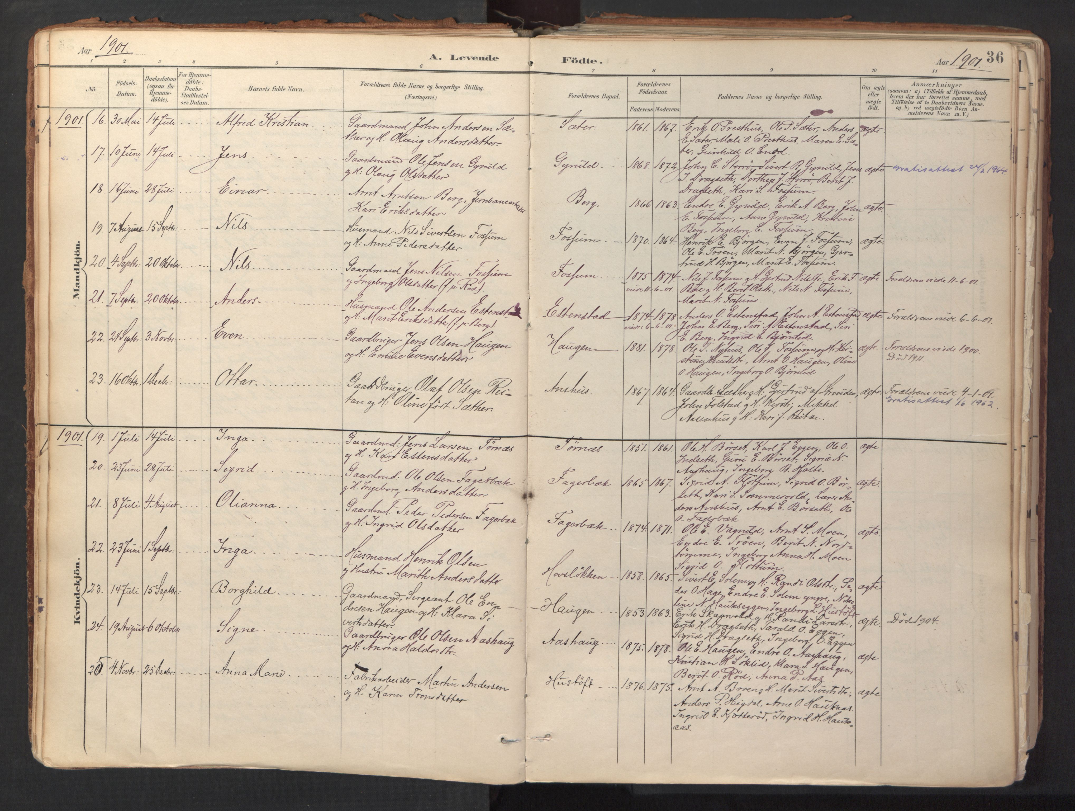 Ministerialprotokoller, klokkerbøker og fødselsregistre - Sør-Trøndelag, SAT/A-1456/689/L1041: Parish register (official) no. 689A06, 1891-1923, p. 36