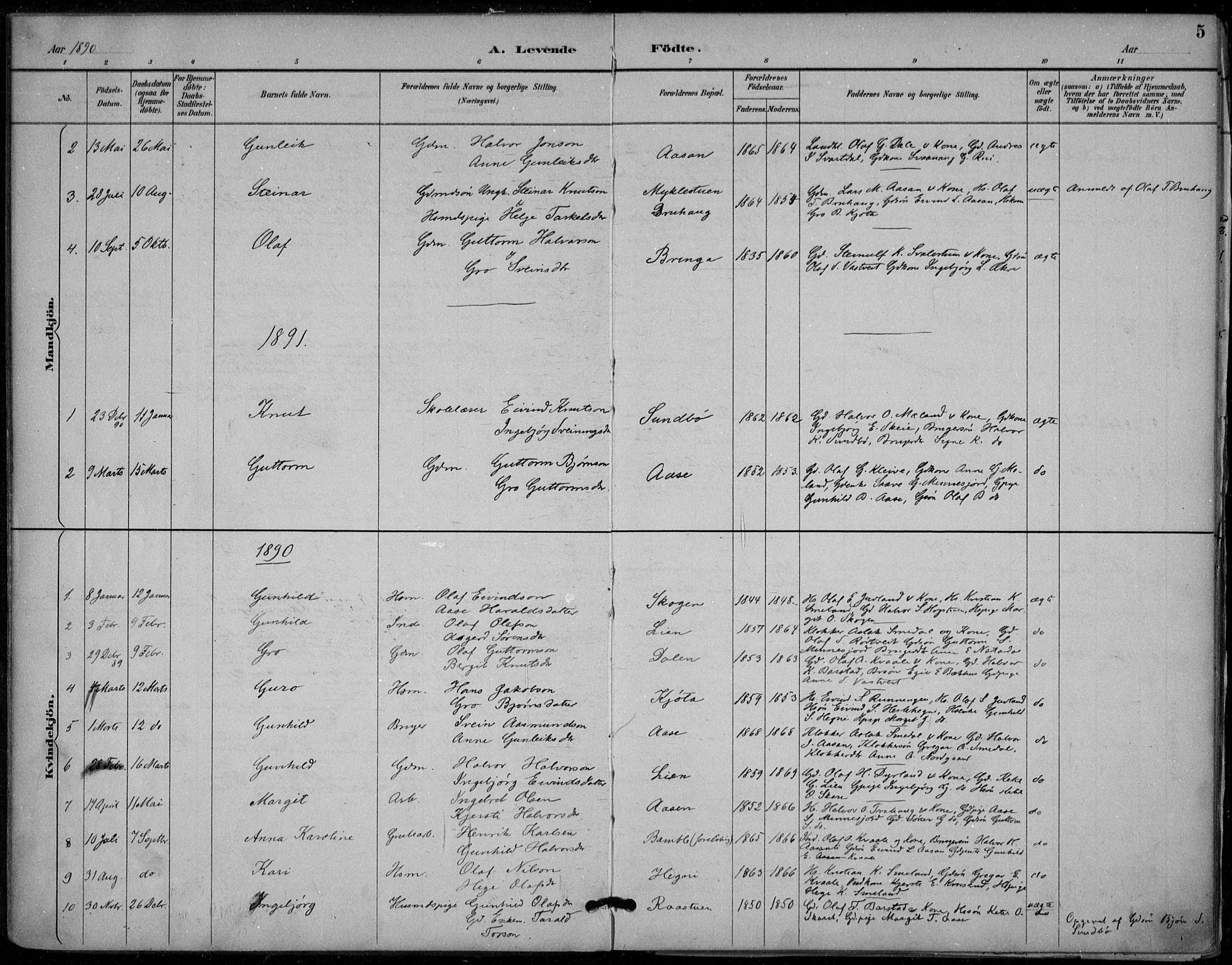 Seljord kirkebøker, AV/SAKO-A-20/F/Fb/L0002: Parish register (official) no. II 2, 1887-1917, p. 5