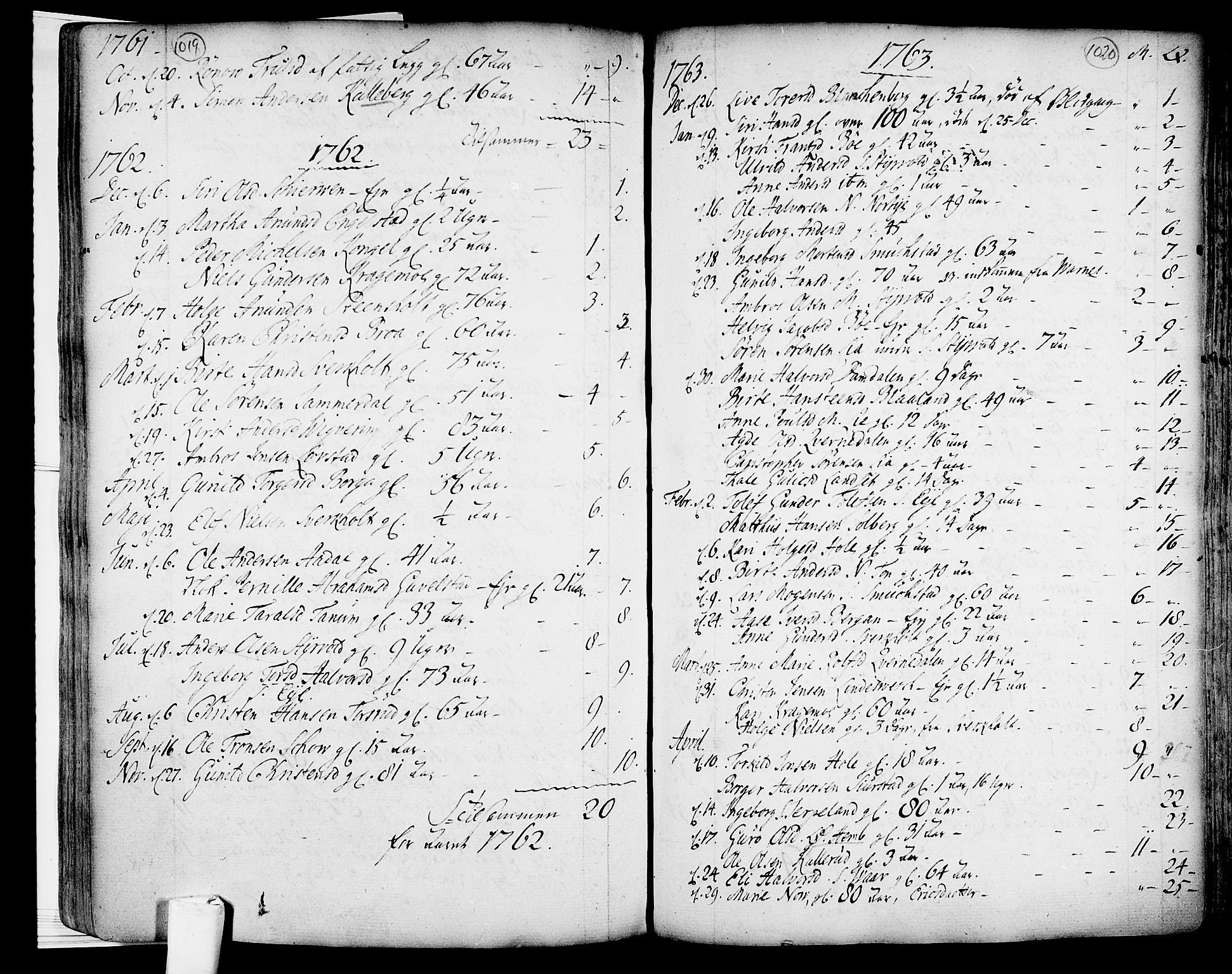 Lardal kirkebøker, SAKO/A-350/F/Fa/L0003: Parish register (official) no. I 3, 1733-1815, p. 1019-1020