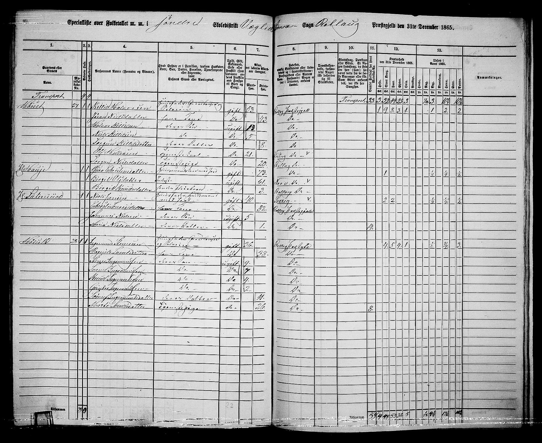 RA, 1865 census for Rollag, 1865, p. 53