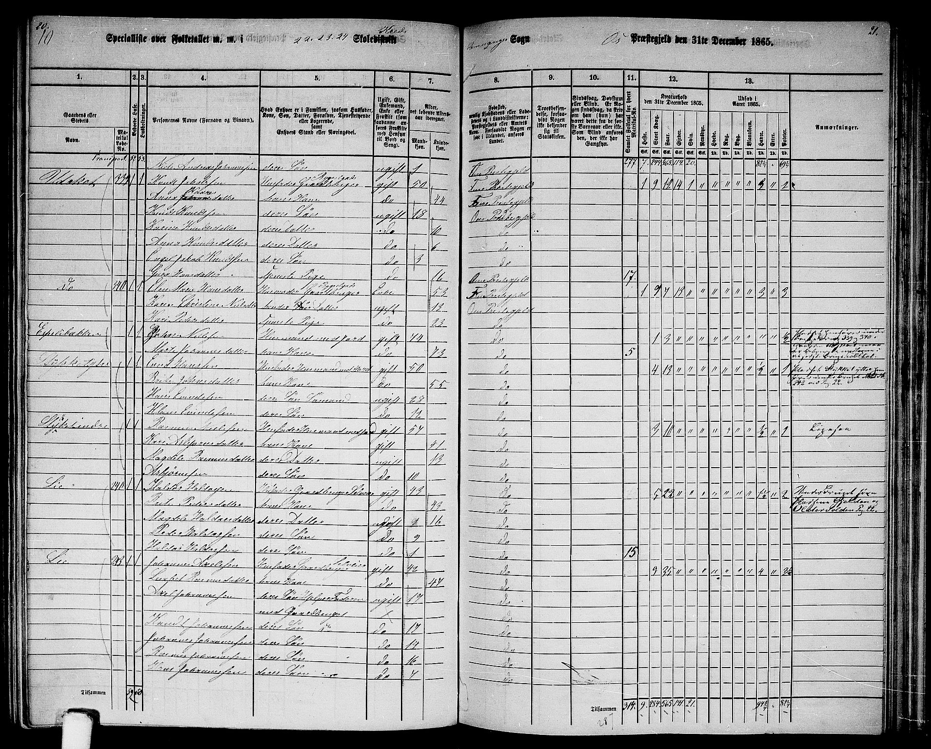 RA, 1865 census for Os, 1865, p. 147