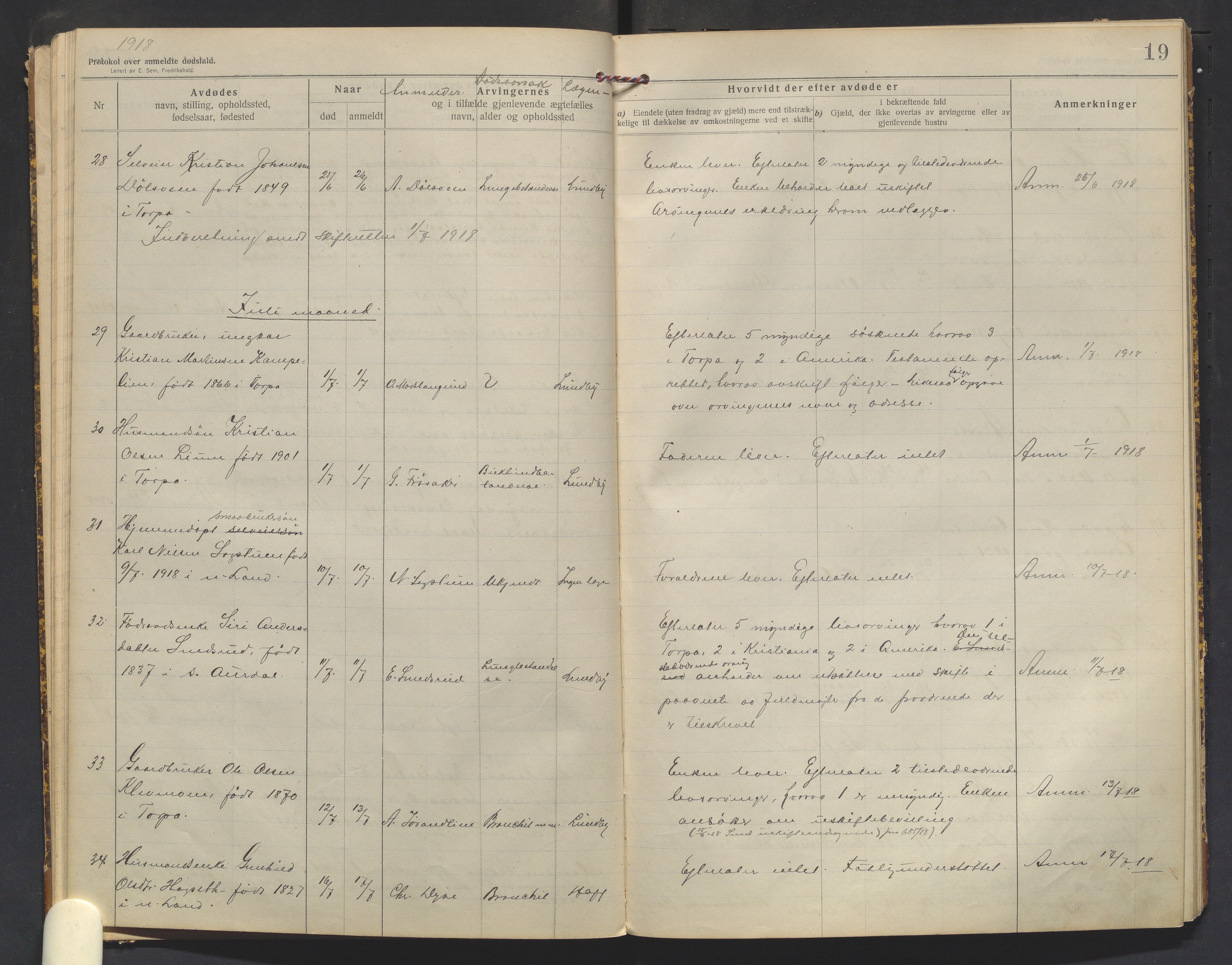 Nordre Land lensmannskontor, AV/SAH-LON-013/H/Ha/Haa/L0001/0003: Dødsfallsprotokoller / Dødsfallsprotokoll, 1916-1921, p. 19