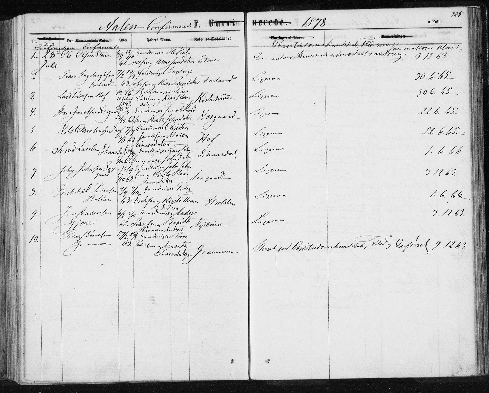 Ministerialprotokoller, klokkerbøker og fødselsregistre - Sør-Trøndelag, SAT/A-1456/685/L0971: Parish register (official) no. 685A08 /3, 1870-1879, p. 325