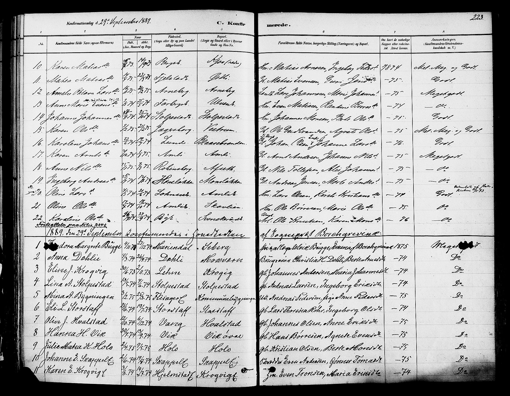 Ringsaker prestekontor, AV/SAH-PREST-014/K/Ka/L0012: Parish register (official) no. 12, 1879-1890, p. 223