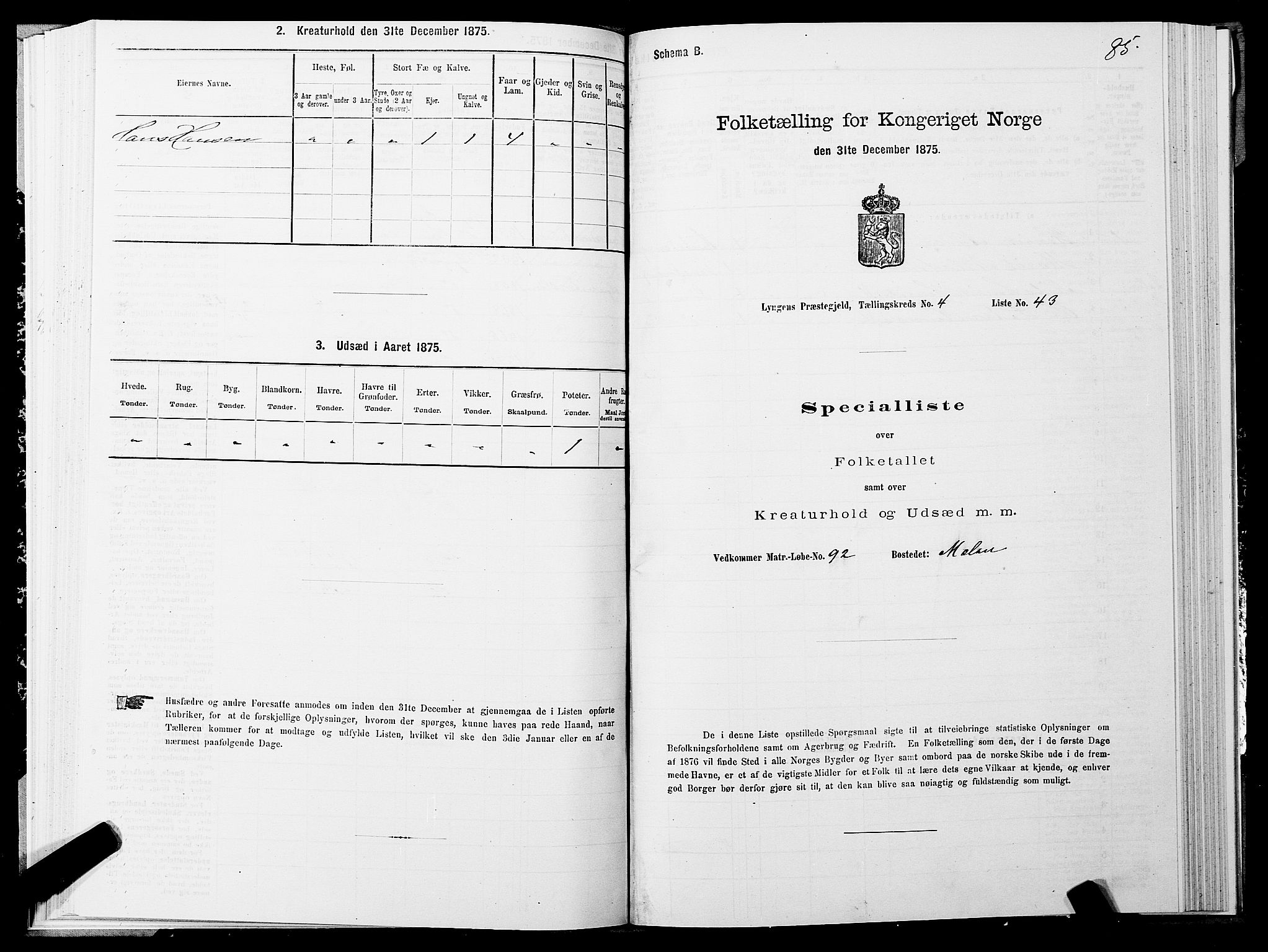 SATØ, 1875 census for 1938P Lyngen, 1875, p. 4085