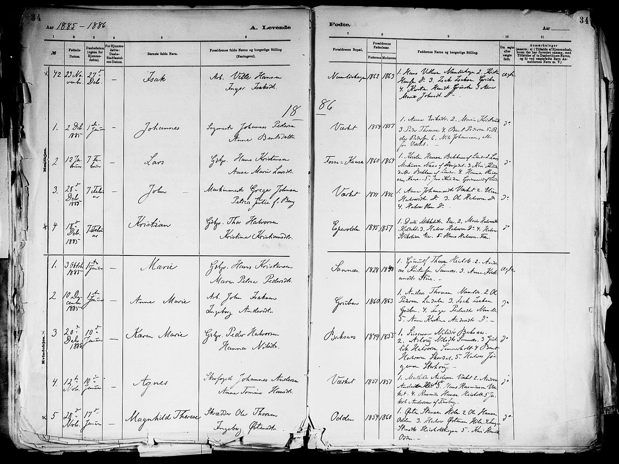 Holla kirkebøker, SAKO/A-272/F/Fa/L0008: Parish register (official) no. 8, 1882-1897, p. 34